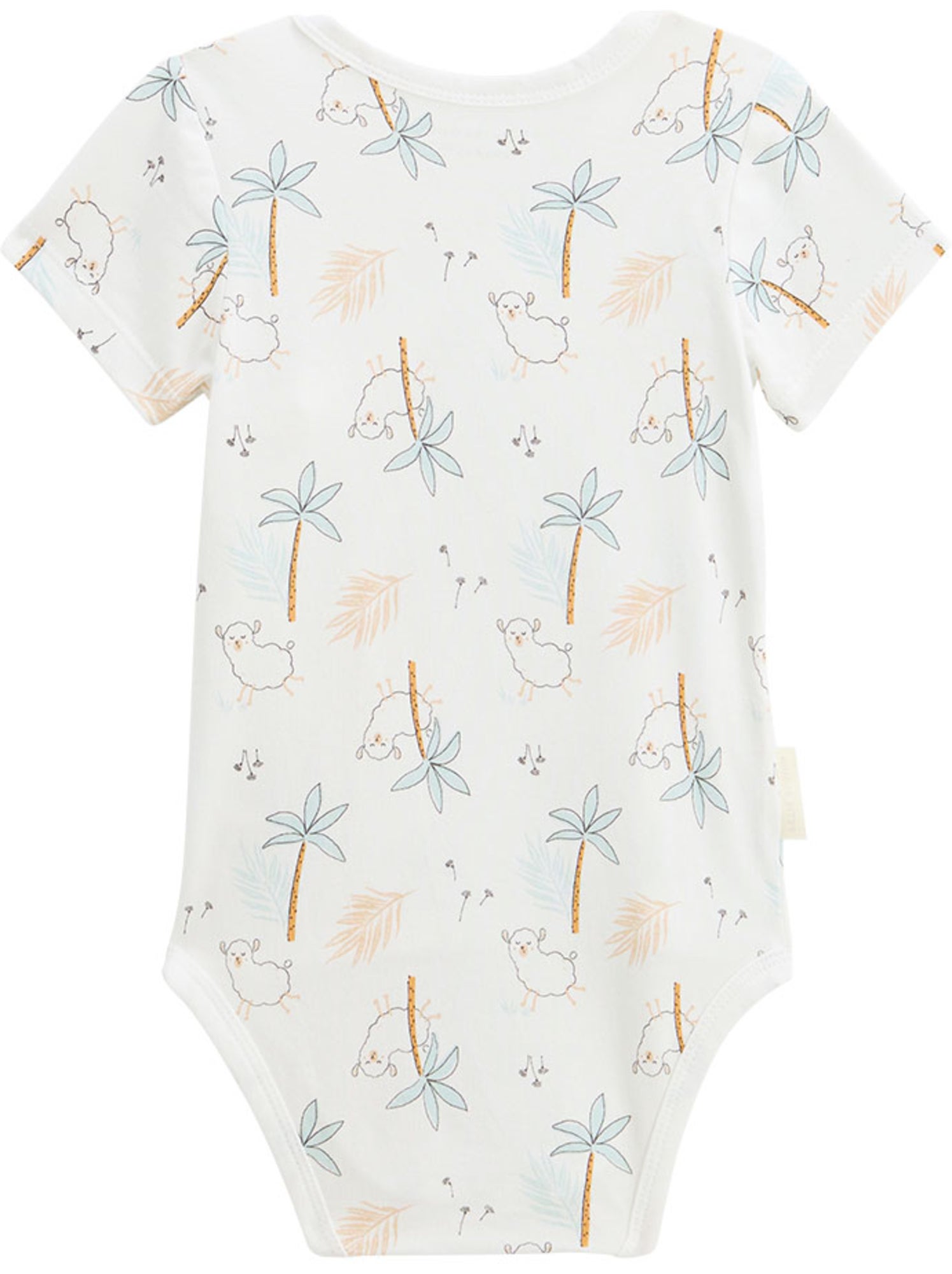 Lot de 2 bodies bébé manches courtes ouverture croisée noisette - Ecru