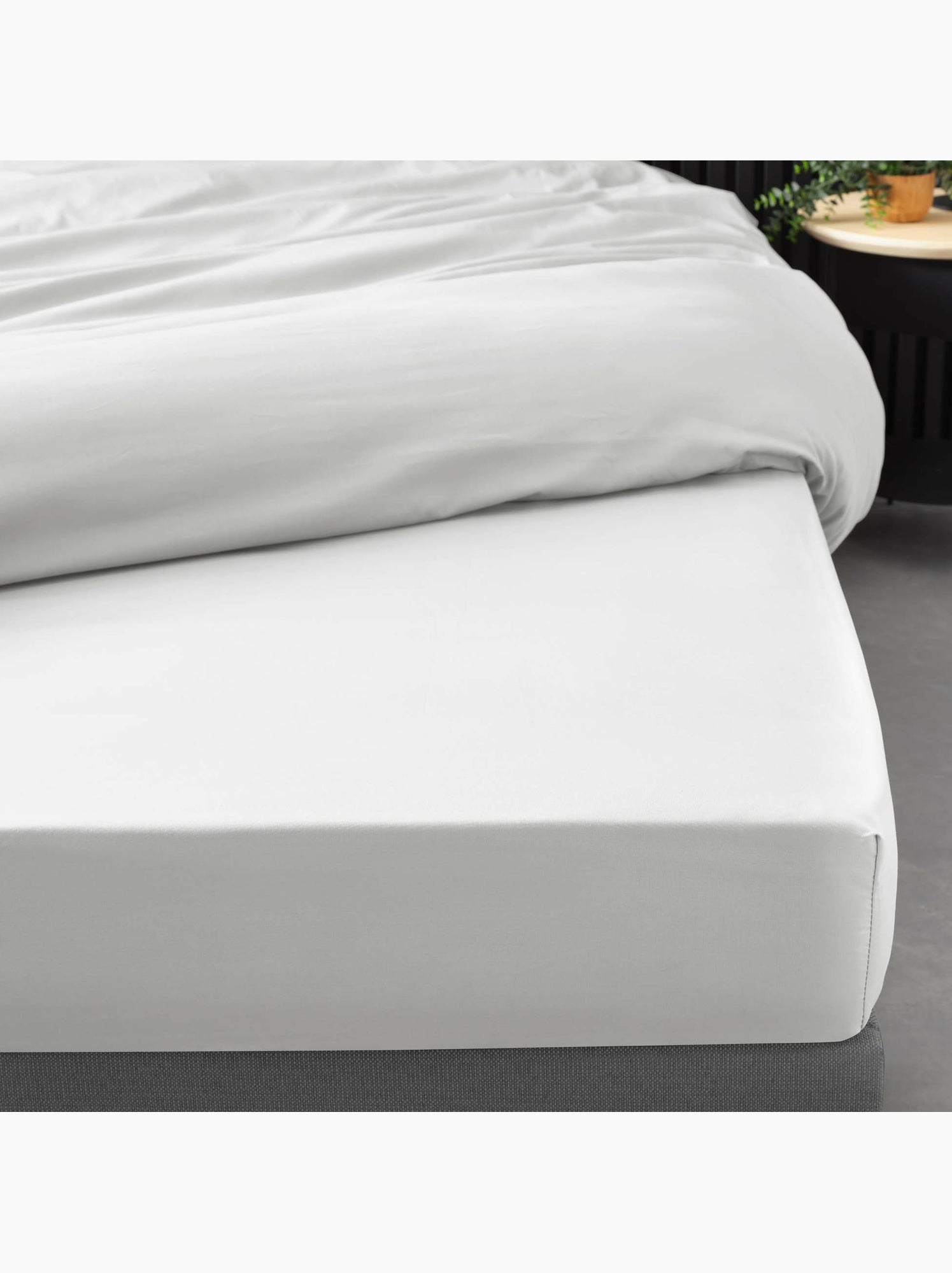 Lot de 2 drap housse percale de coton 78fils ultra doux - Blanc