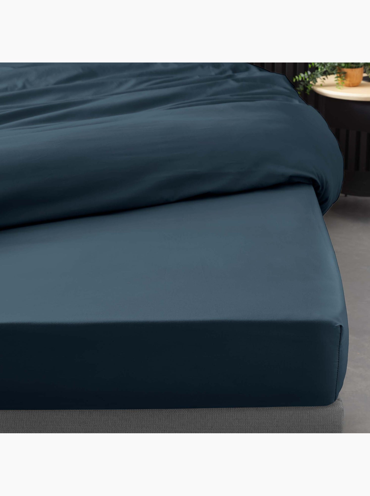 Lot de 2 drap housse percale de coton 78fils ultra doux - Bleu nuit