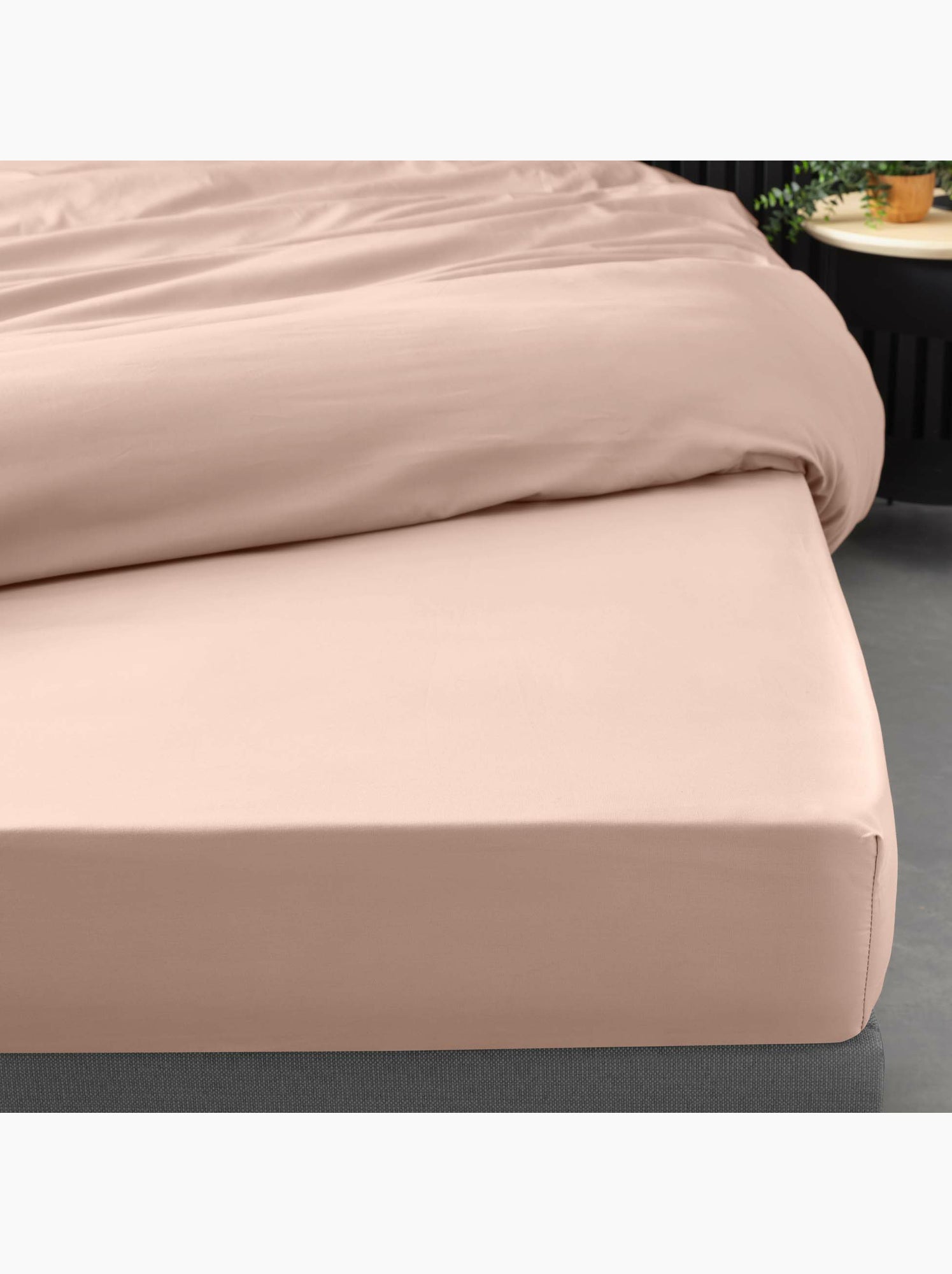 Lot de 2 drap housse percale de coton 78fils ultra doux - Nude
