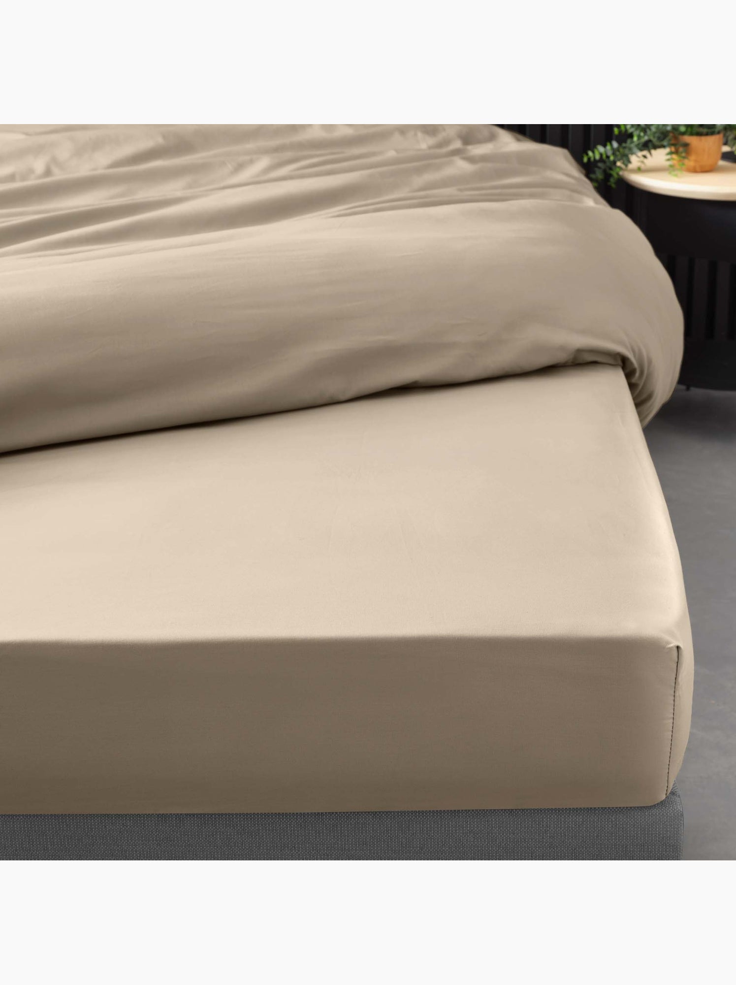 Lot de 2 drap housse percale de coton 78fils ultra doux - Sable
