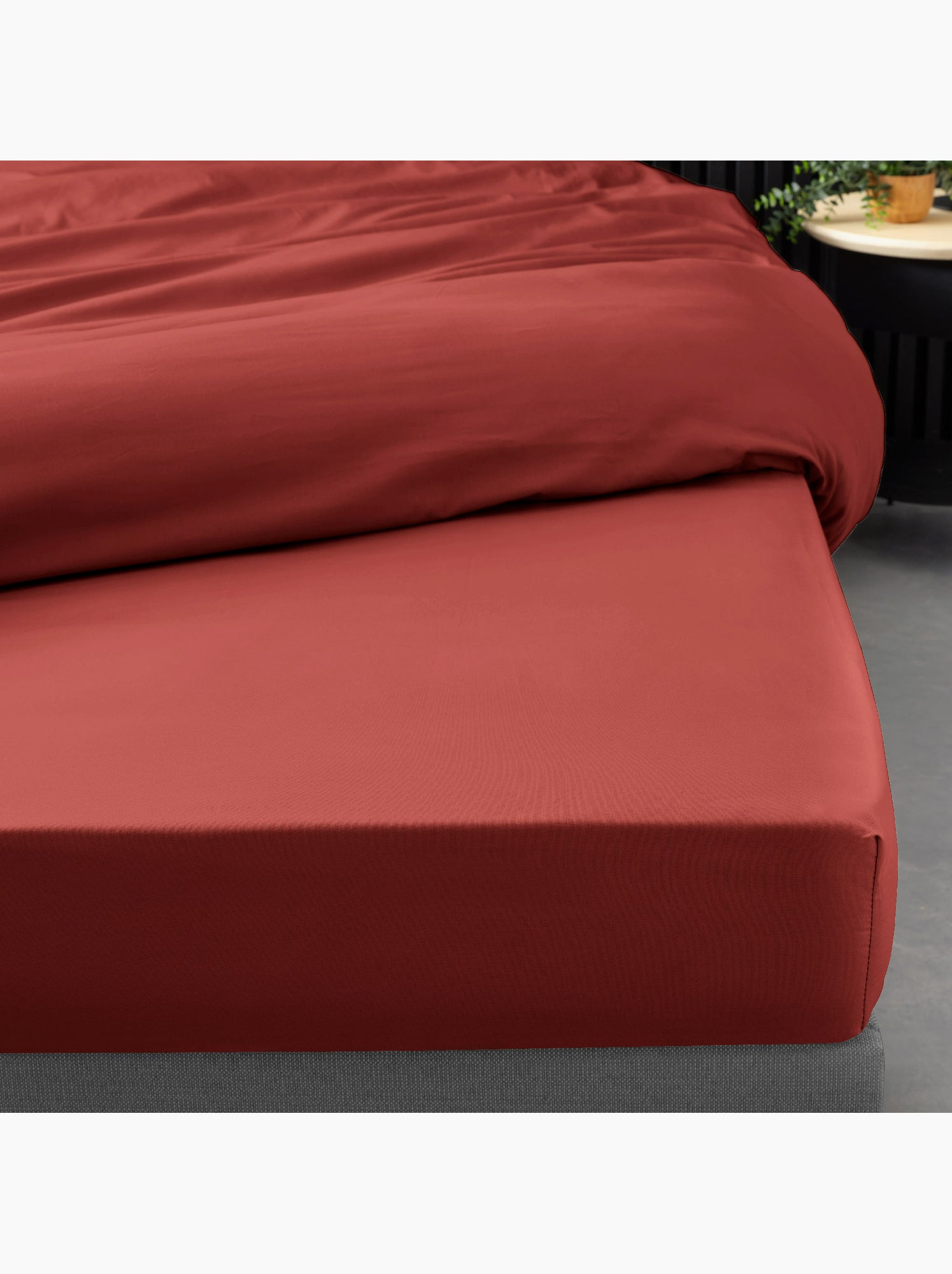 Lot de 2 drap housse percale de coton 78fils ultra doux - Terracotta