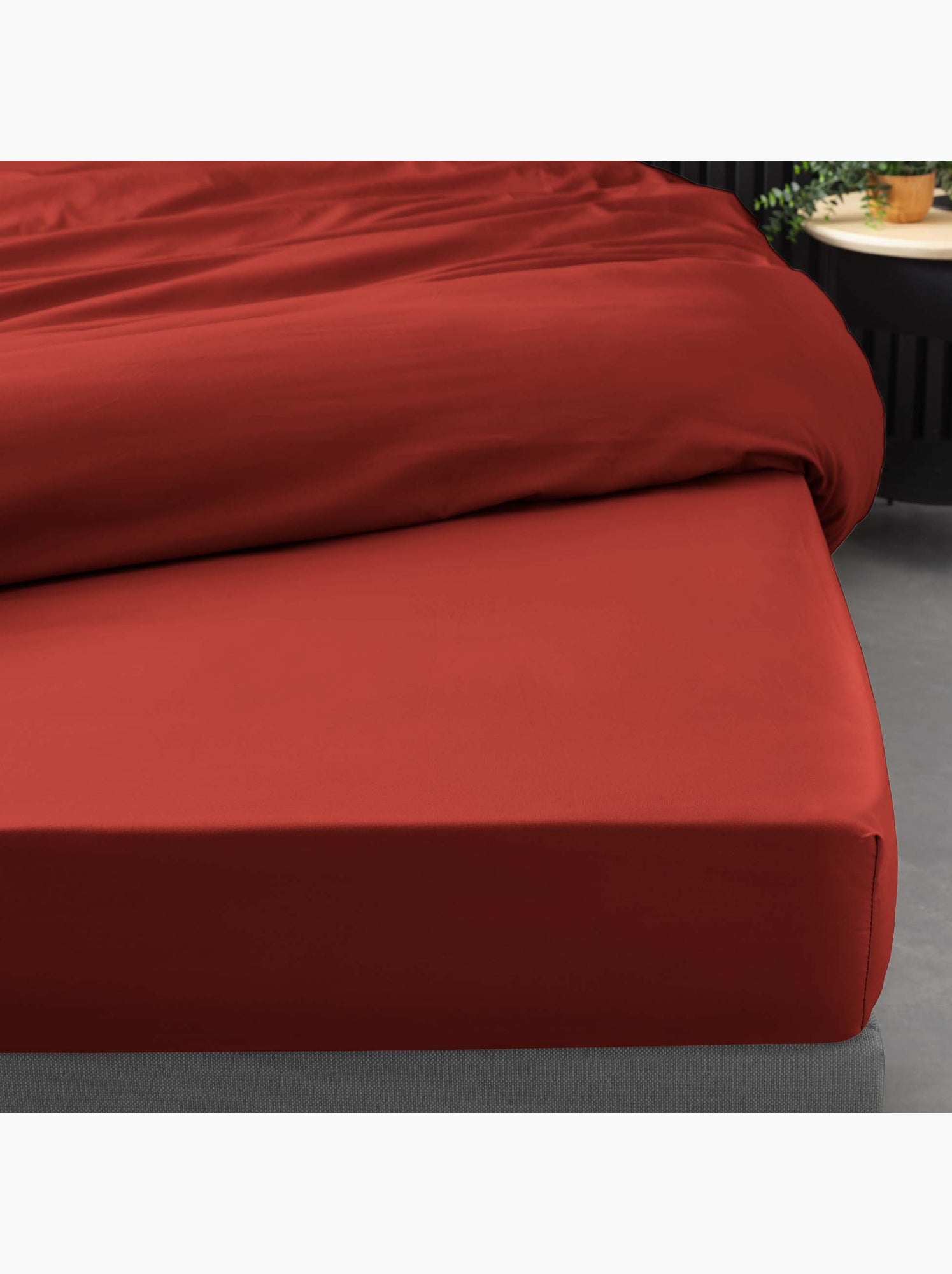 Lot de 2 drap housse percale de coton 78fils ultra doux - Tomette