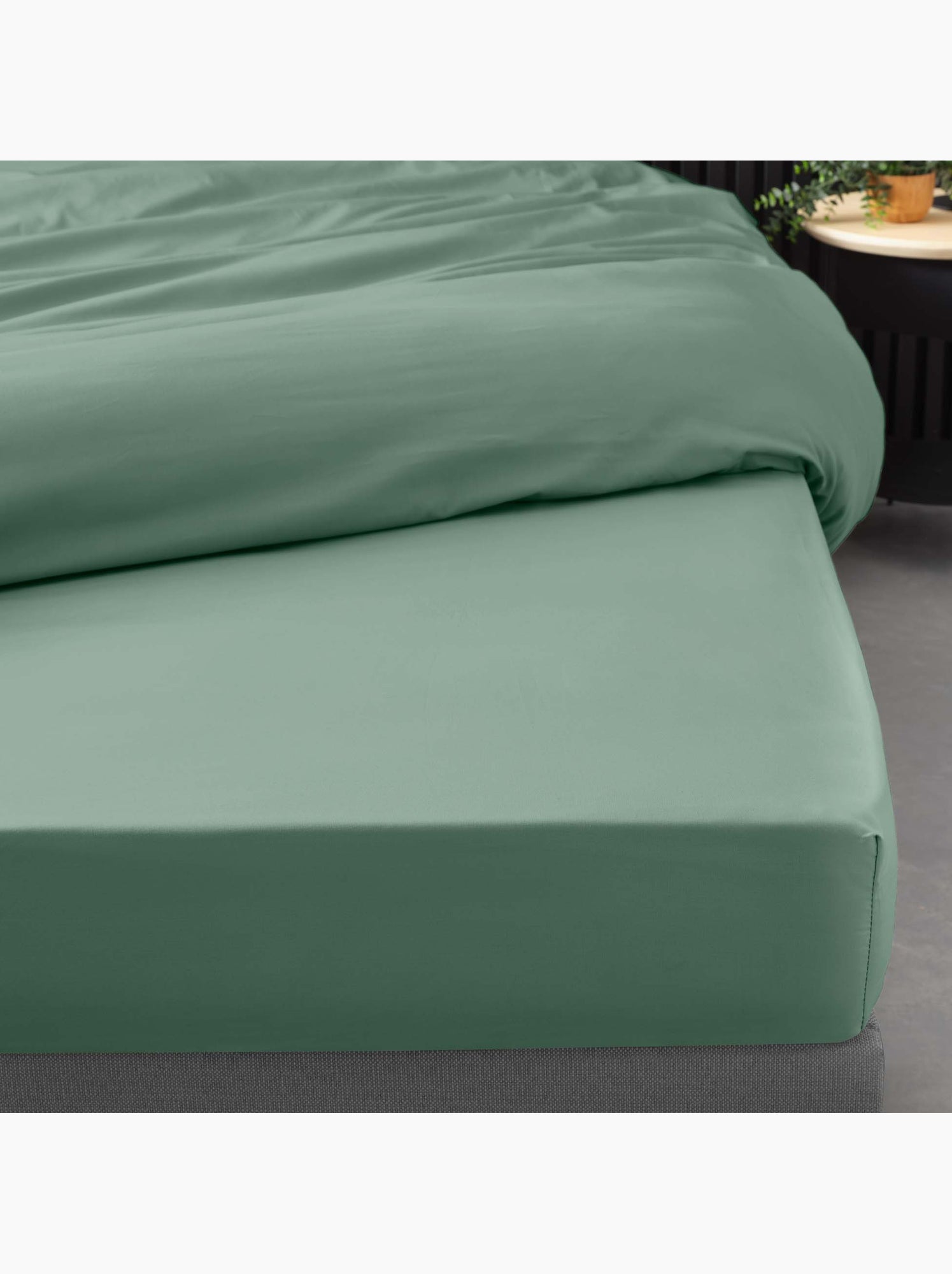Lot de 2 drap housse percale de coton 78fils ultra doux - Vert tilleul