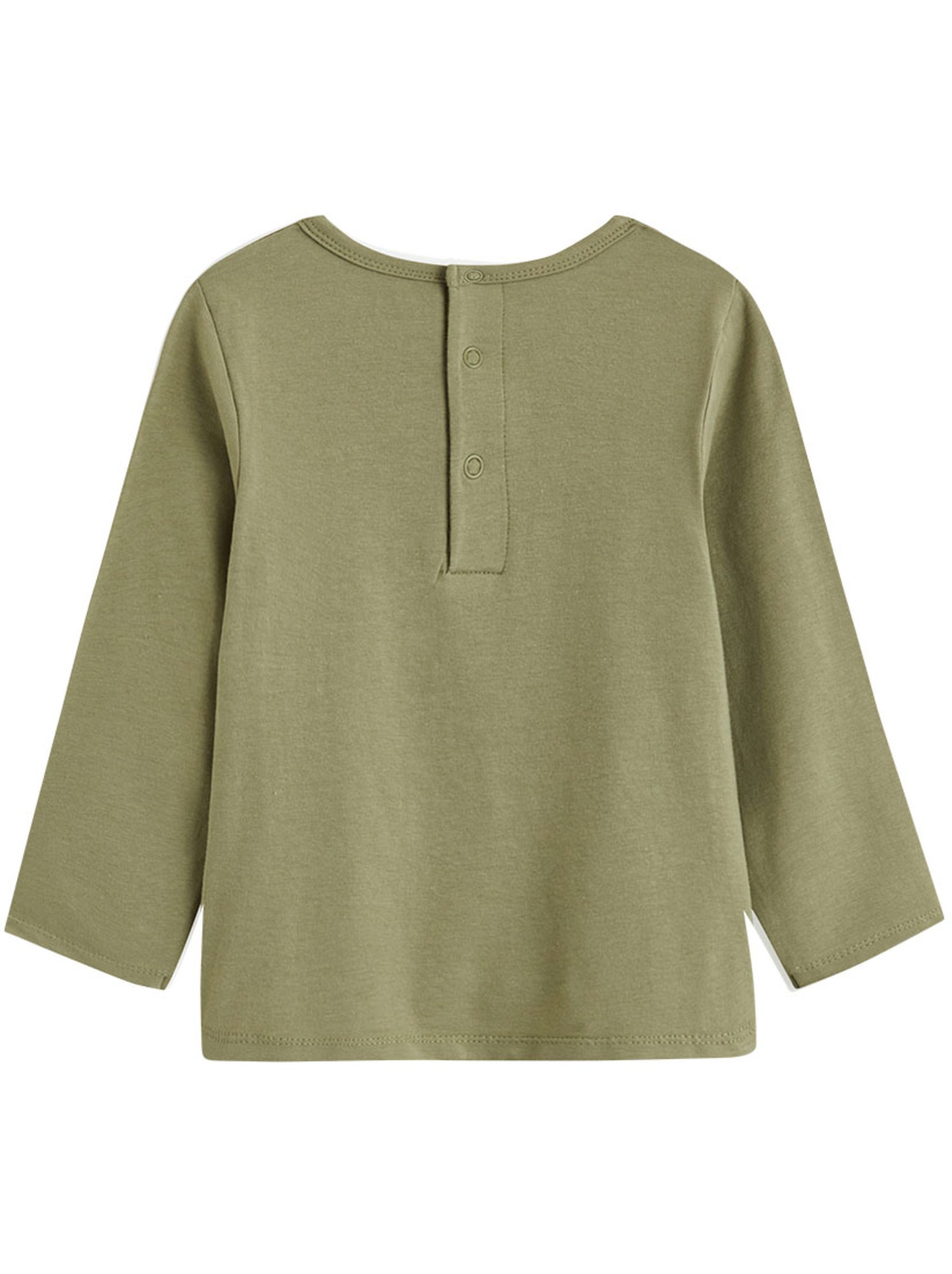 Lot de 2 t-shirts bébé manches longues ginkgo - Vert