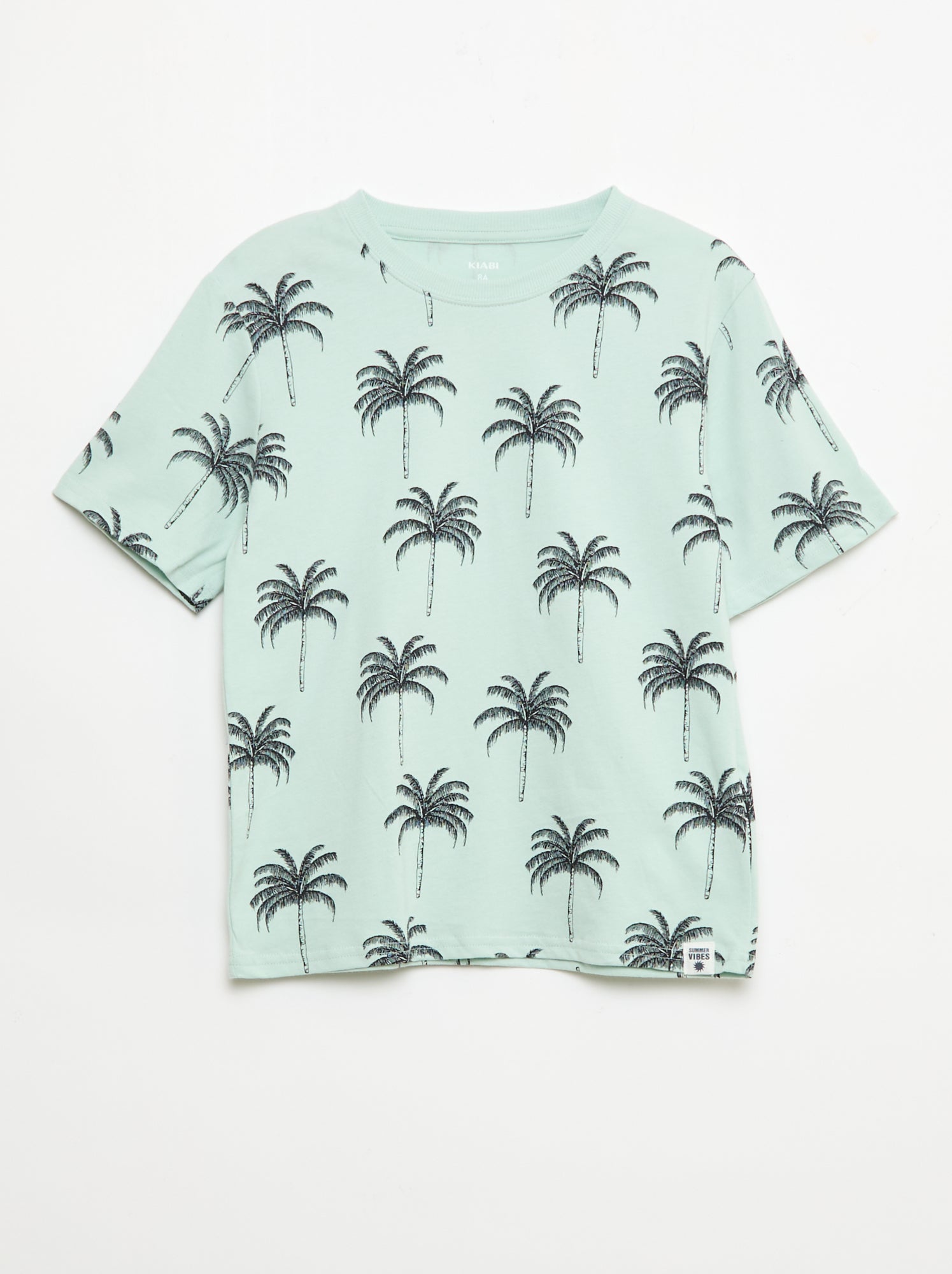 Lot de 2 T-shirts - Bleu (FLE88_5)