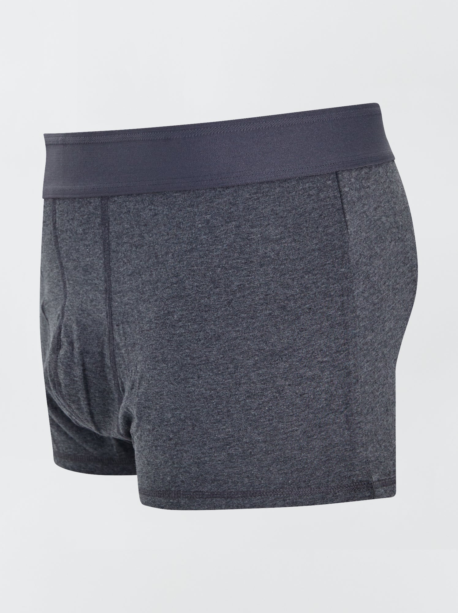 Lot de 3 boxers  size+ - Gris