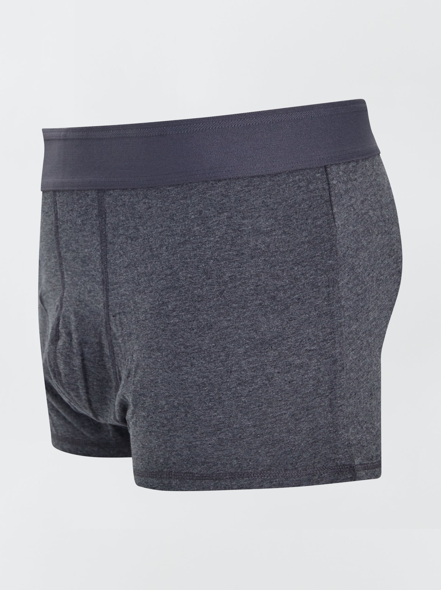 Lot de 3 boxers  size+ - Gris