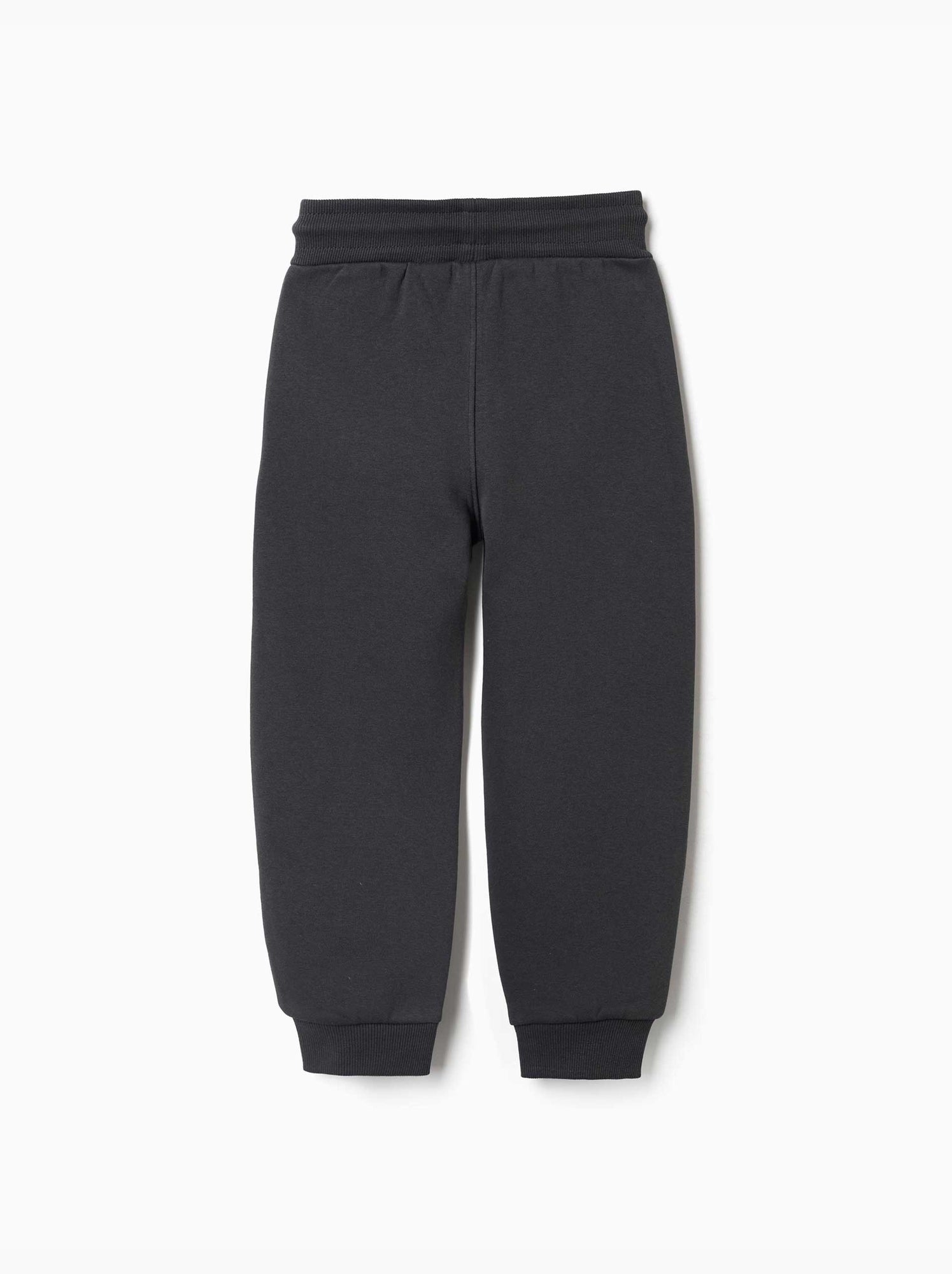 Pantalon de jogging ajusté en coton peigné avec imprimé - Gris foncé