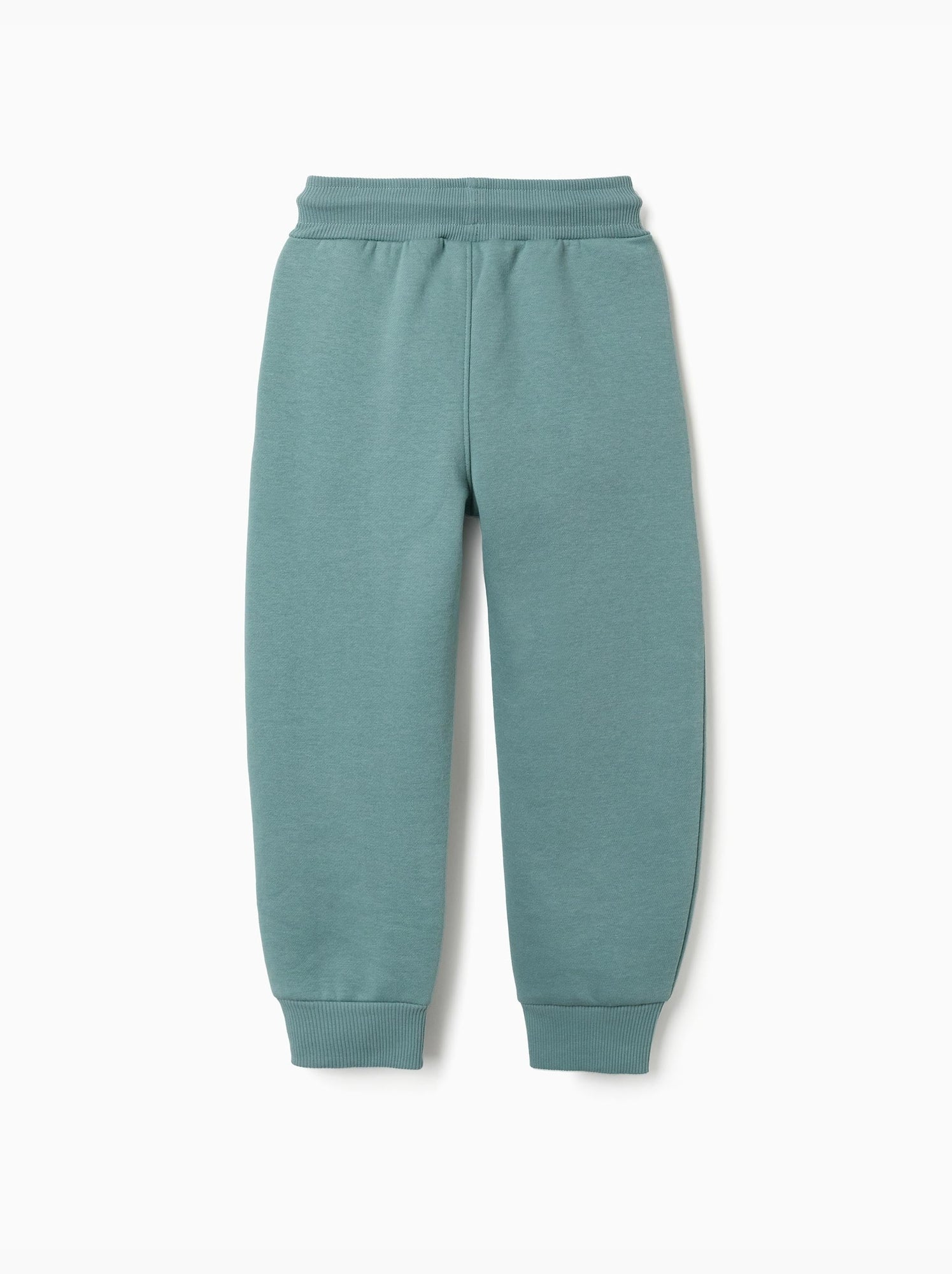 Pantalon de jogging ajusté en coton peigné avec imprimé - Vert clair