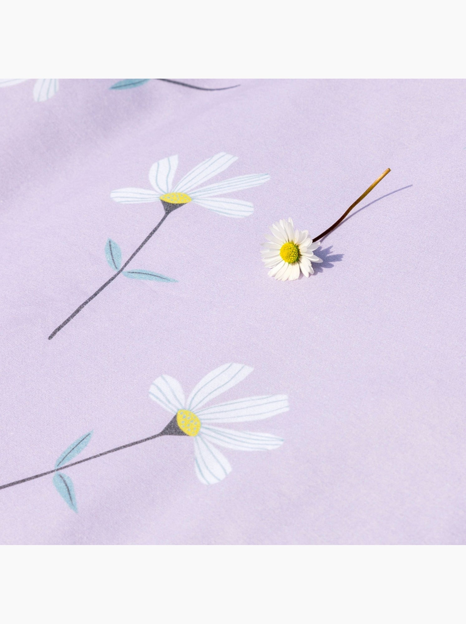 Parure de lit lila - Violet