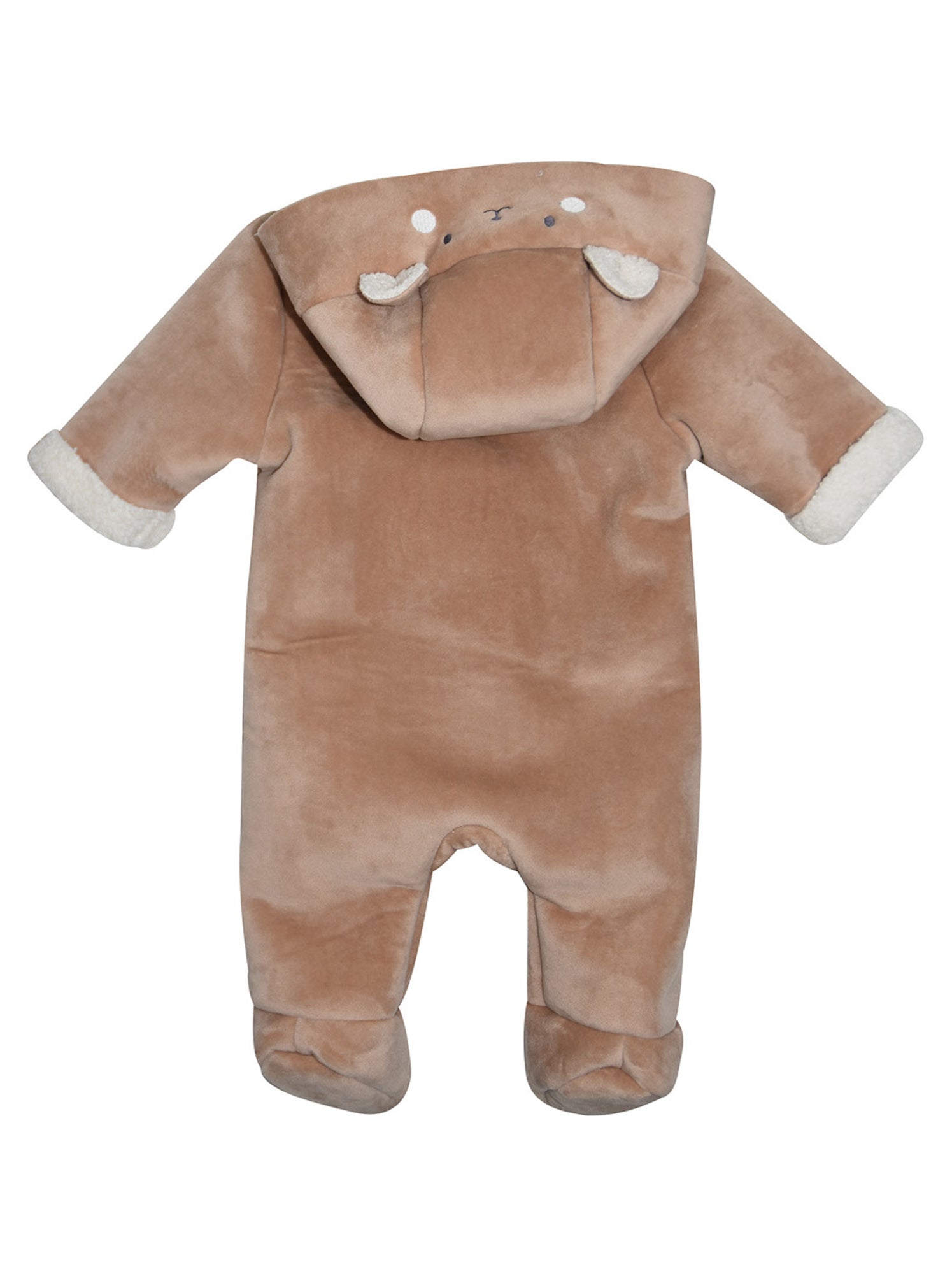 Pilote priscillien - Marron
