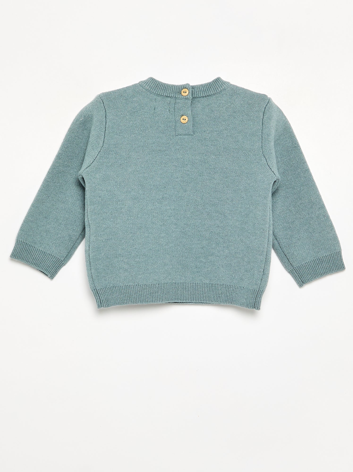 Pull en maille compacte avec broderies animaux - Bleu