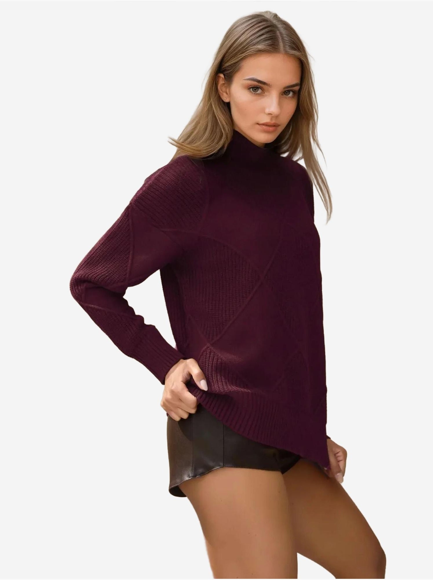 Pull en tricot à col roulé - Rouge bordeaux