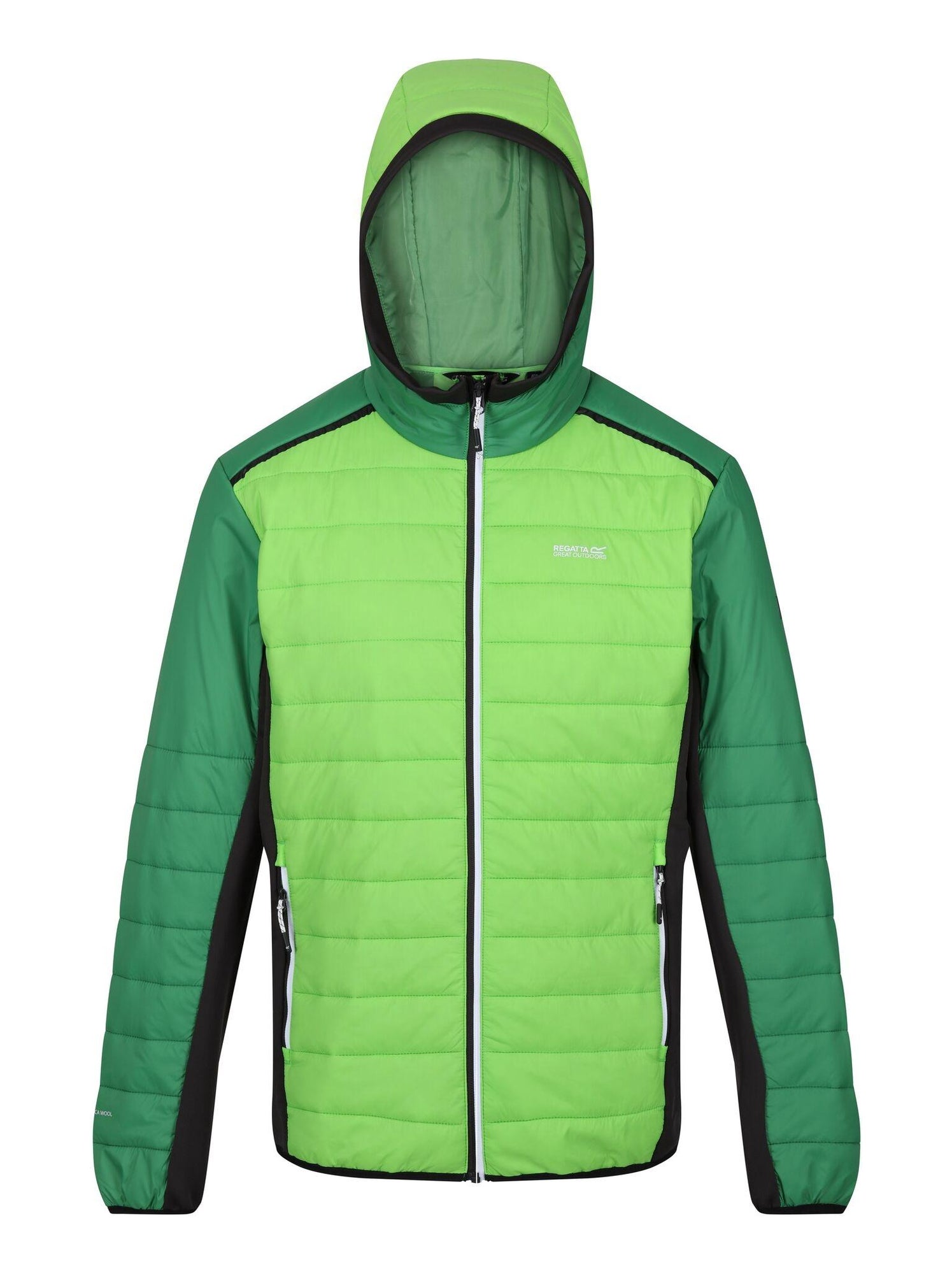 Régate - Veste matelassée TRUTTON - Vert clair