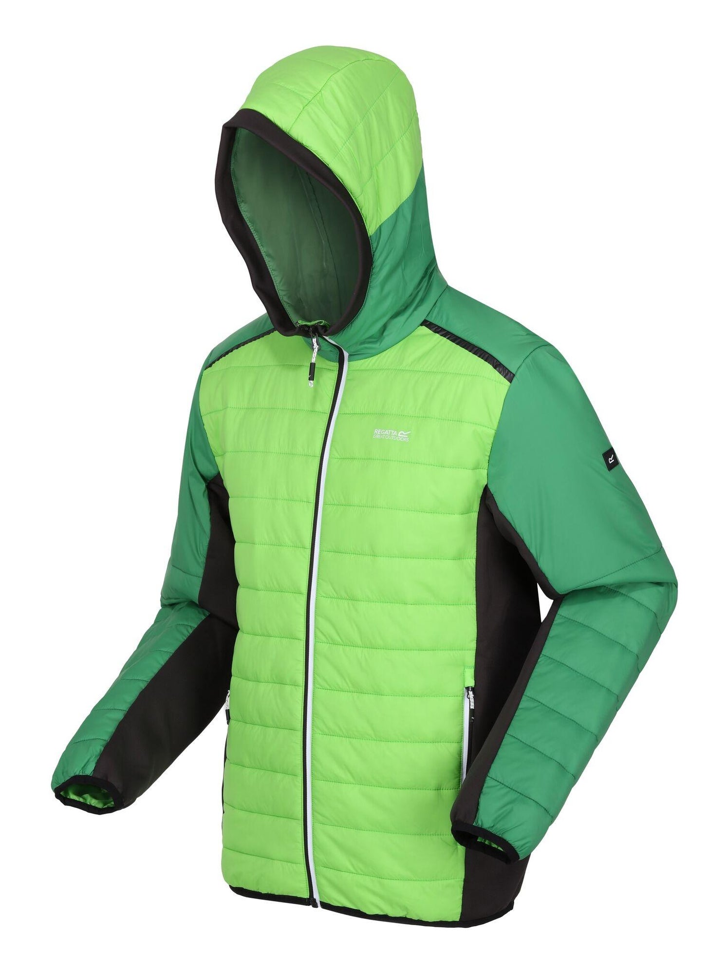 Régate - Veste matelassée TRUTTON - Vert clair