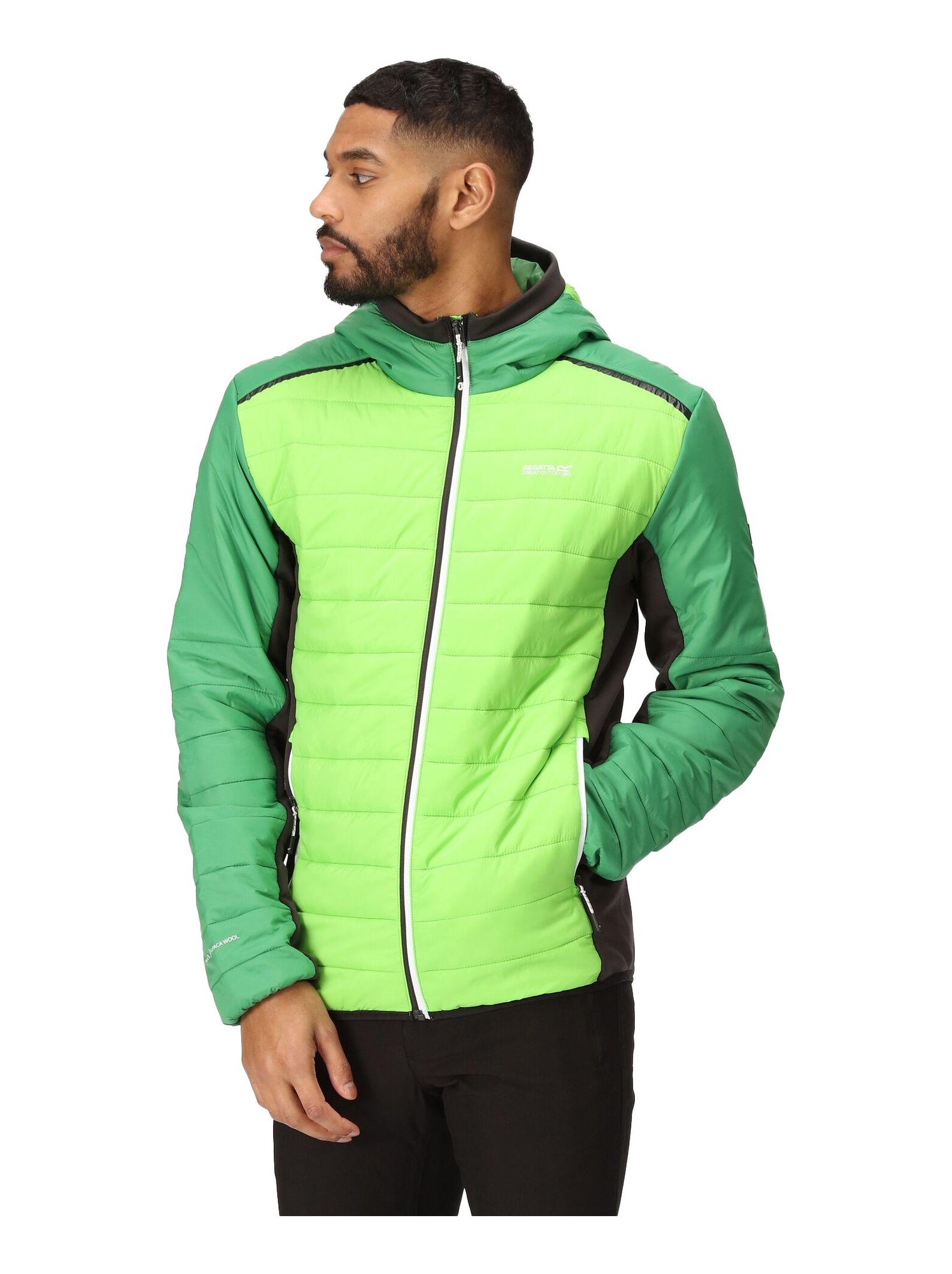 Régate - Veste matelassée TRUTTON - Vert clair