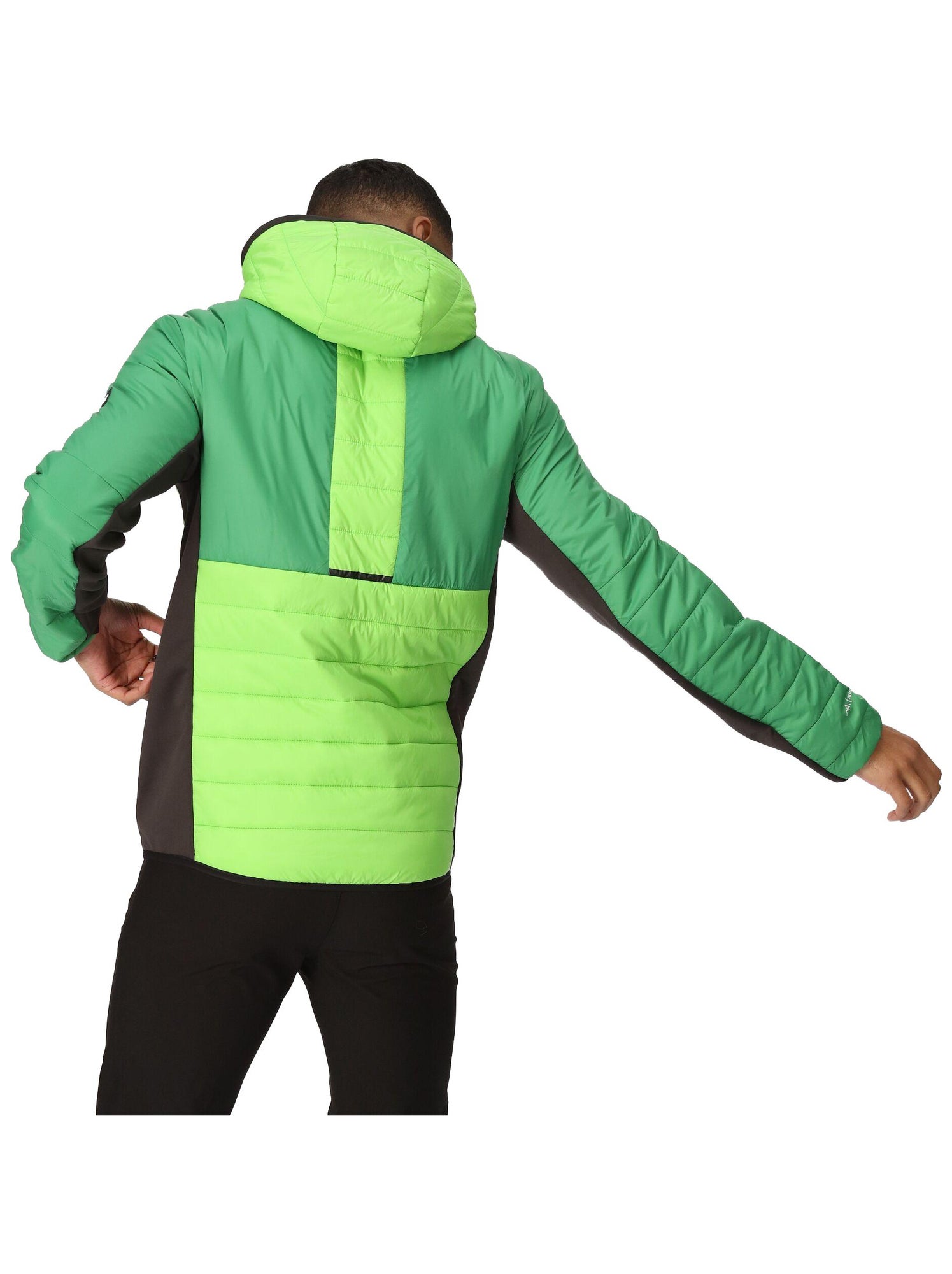 Régate - Veste matelassée TRUTTON - Vert clair