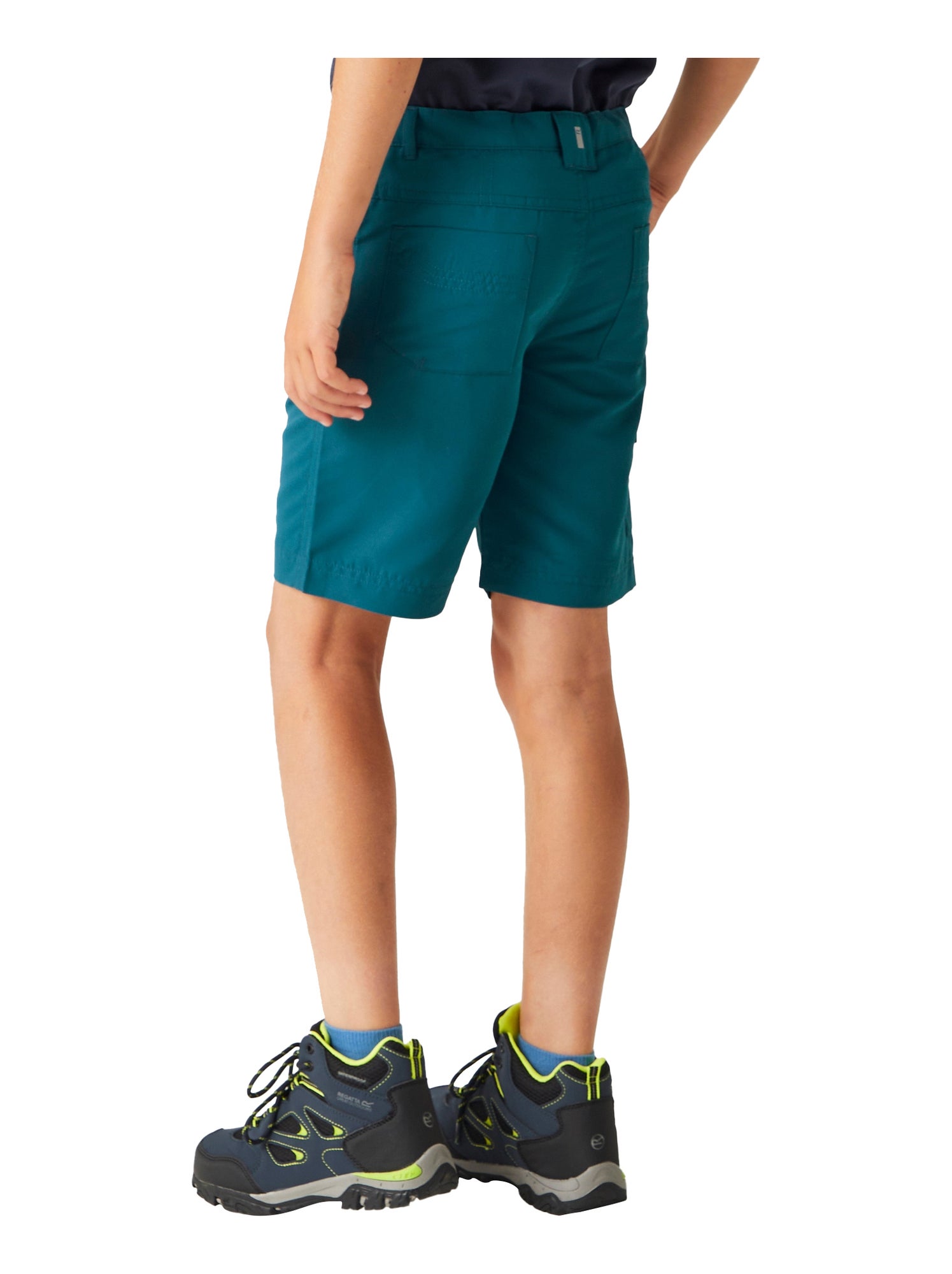 Régate - Short SORCER - Bleu