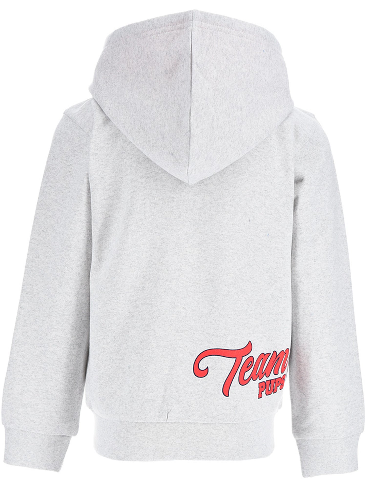 Sweat à capuche zippé pat patrouille  | licence officielle - Gris