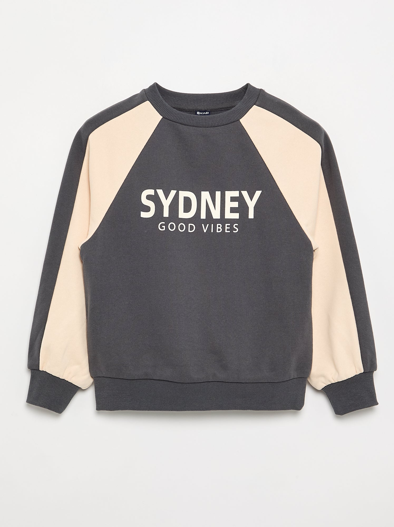 Sweat bicolore avec imprimé - Gris