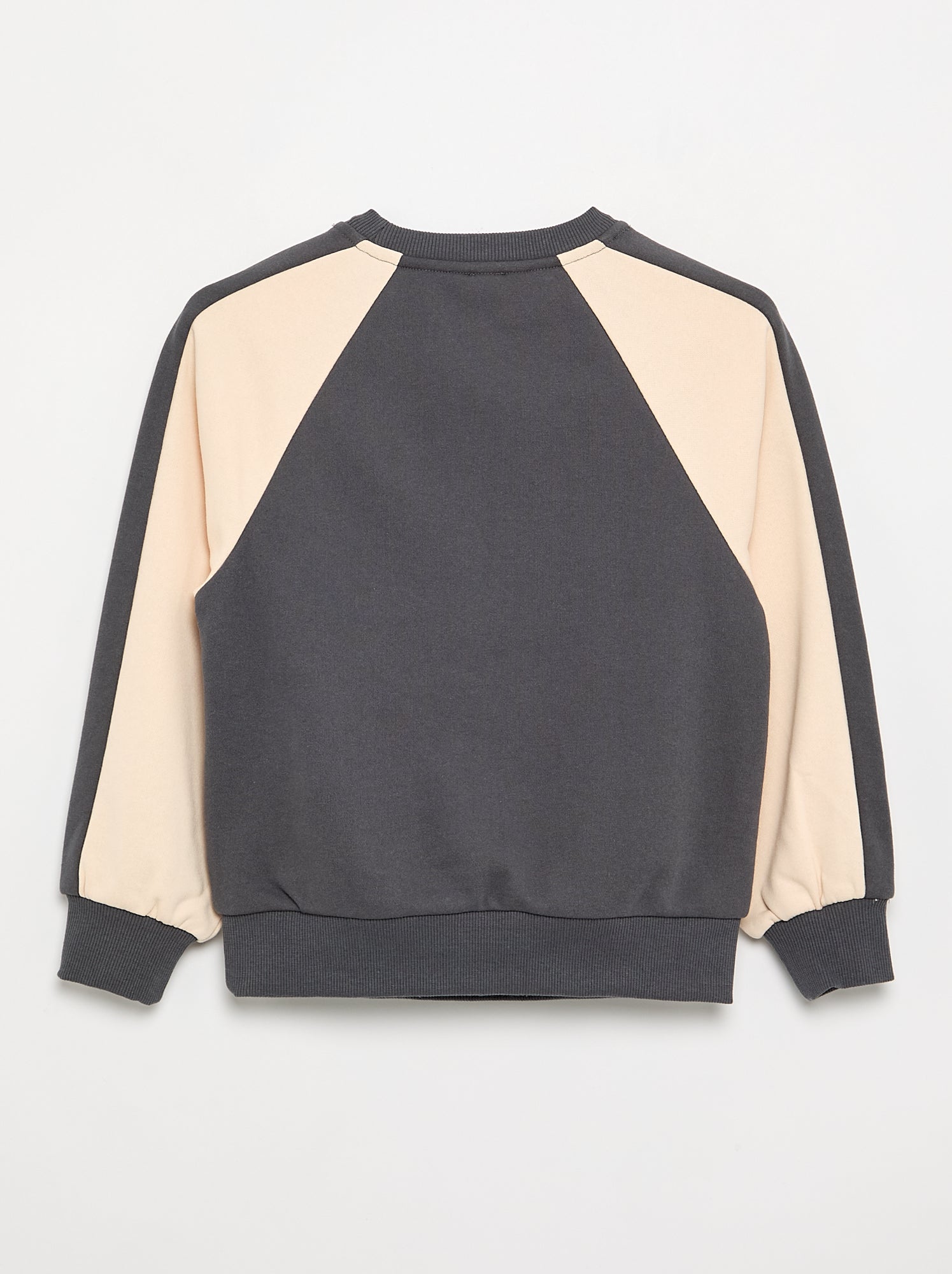 Sweat bicolore avec imprimé - Gris