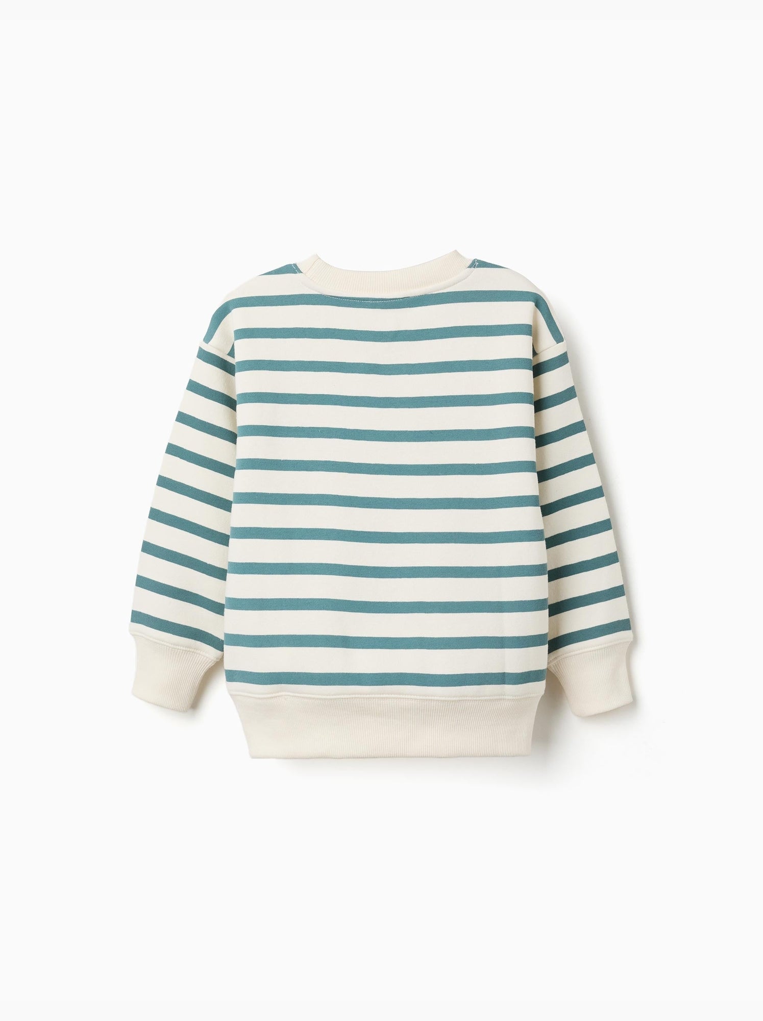 Sweat en coton peigné à rayures et imprimé - Vert clair