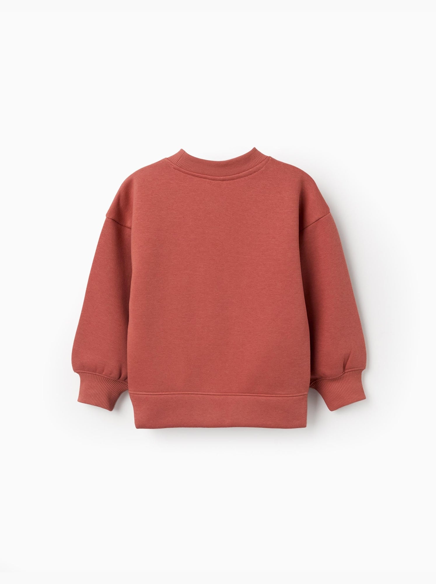 Sweat en coton peigné avec motif art et nature - Marron