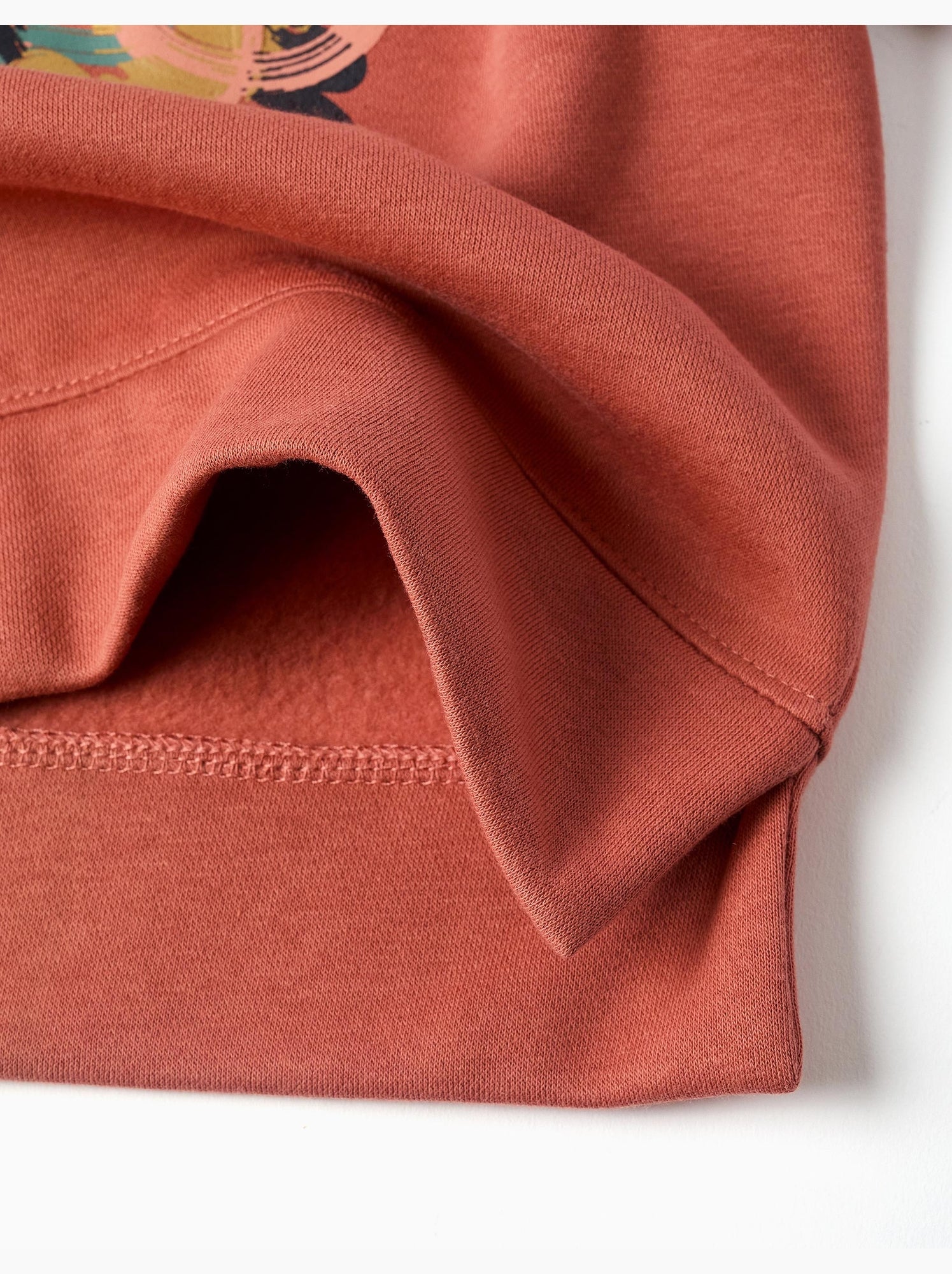 Sweat en coton peigné avec motif art et nature - Marron