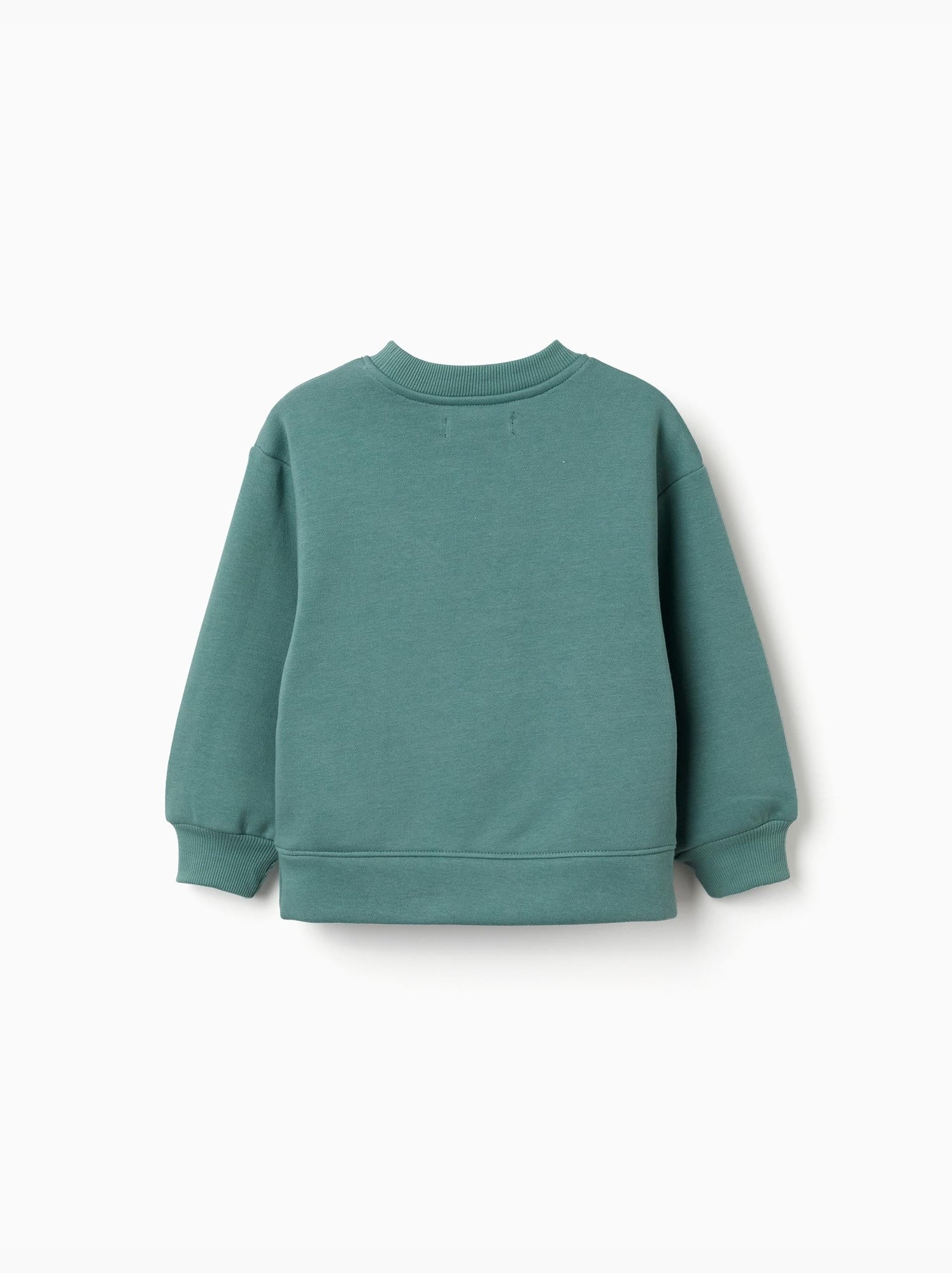 Sweat en coton peigné avec motif art et nature - Vert clair