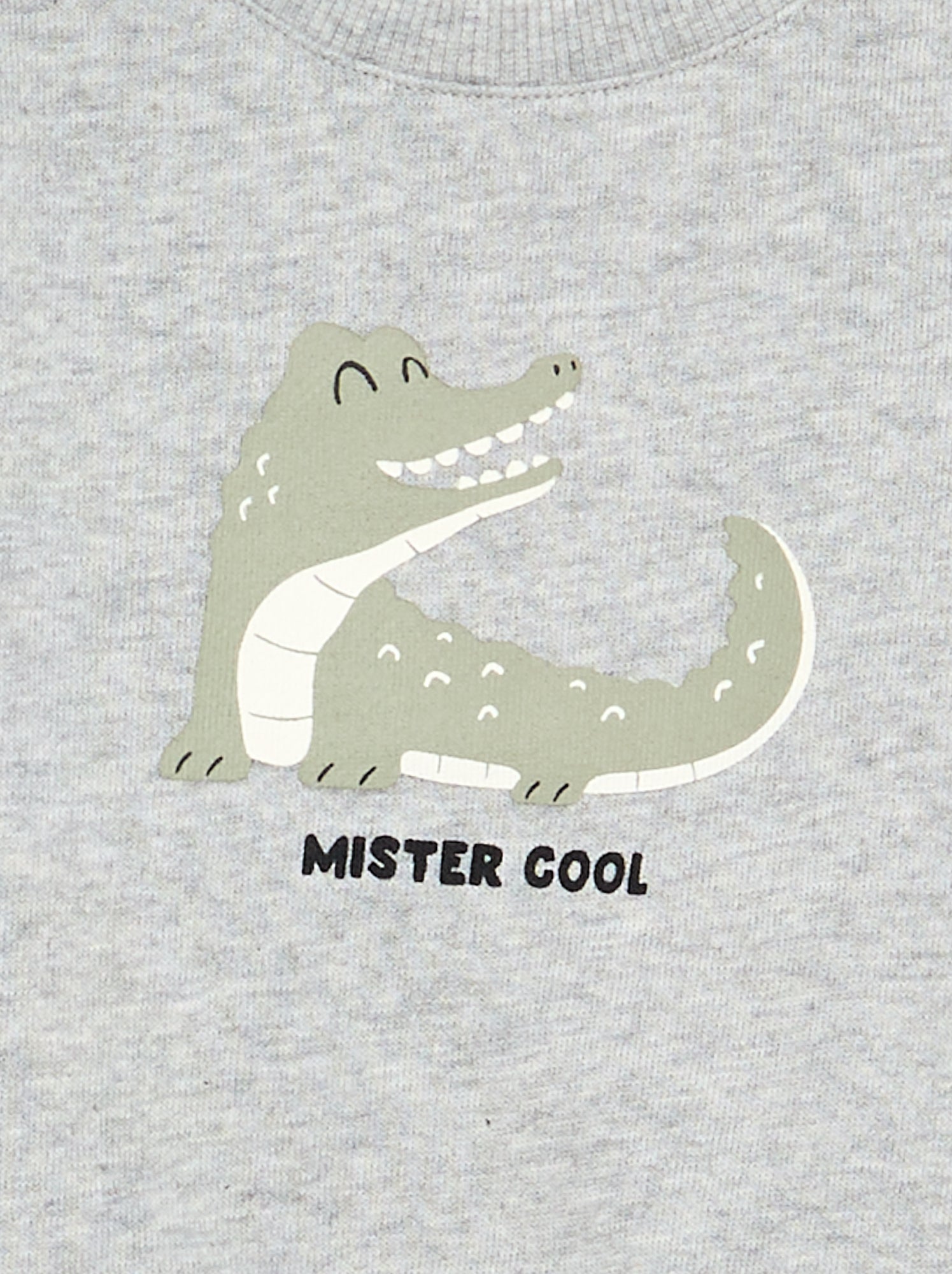 Sweat en molleton léger imprimé - Gris