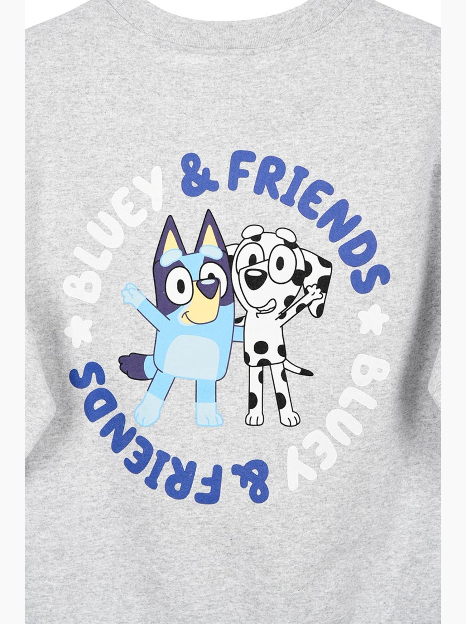 Sweat   garçon bluey - licence officielle - Gris