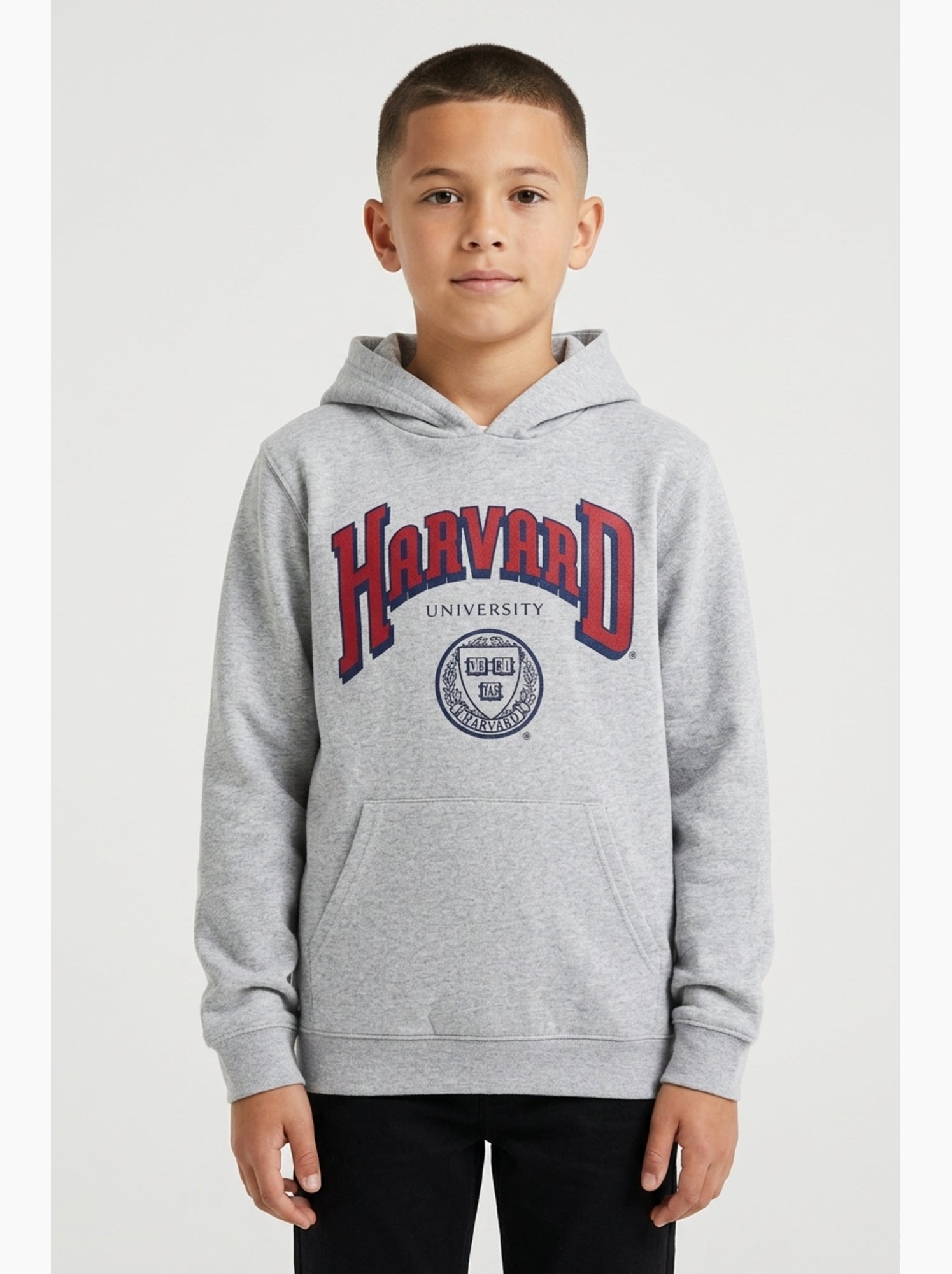 Sweat harvard| licence officielle - Gris