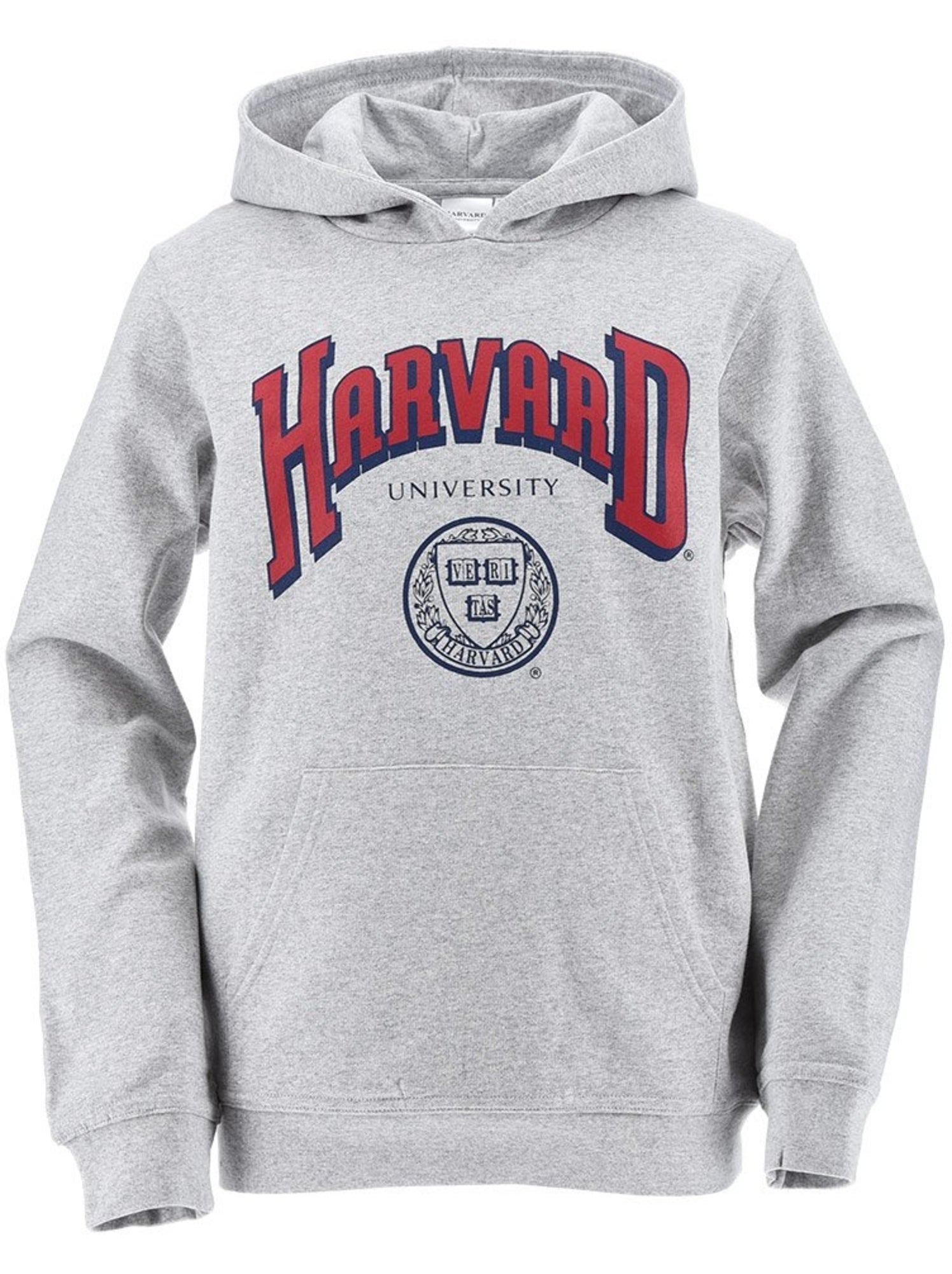 Sweat harvard| licence officielle - Gris