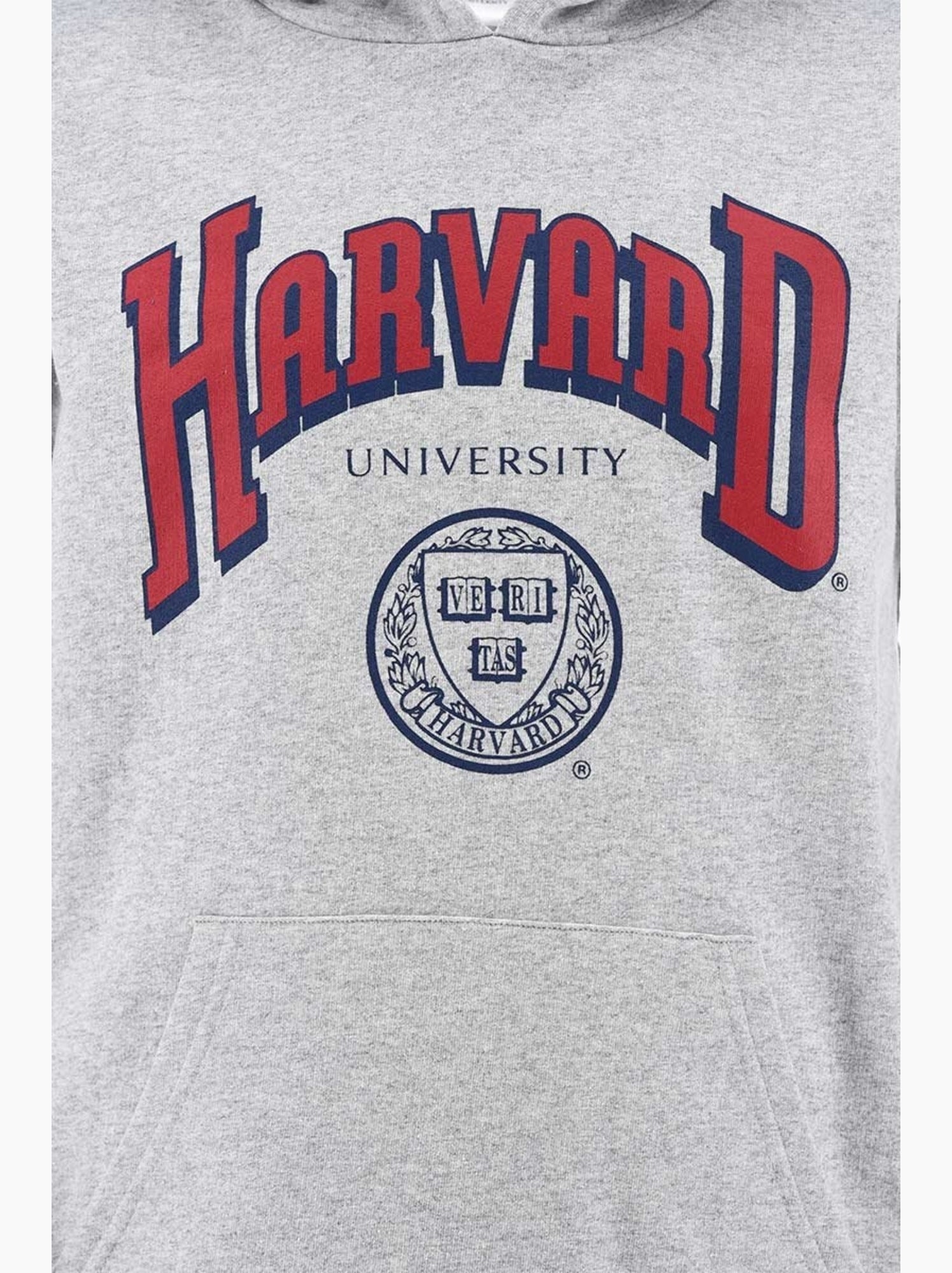 Sweat harvard| licence officielle - Gris