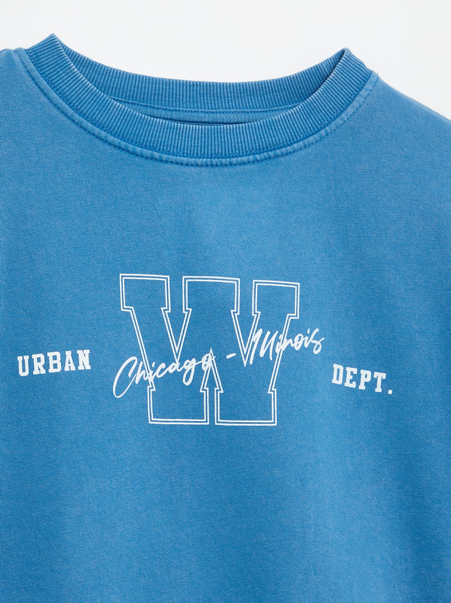 Sweat imprimé en French Terry - Bleu