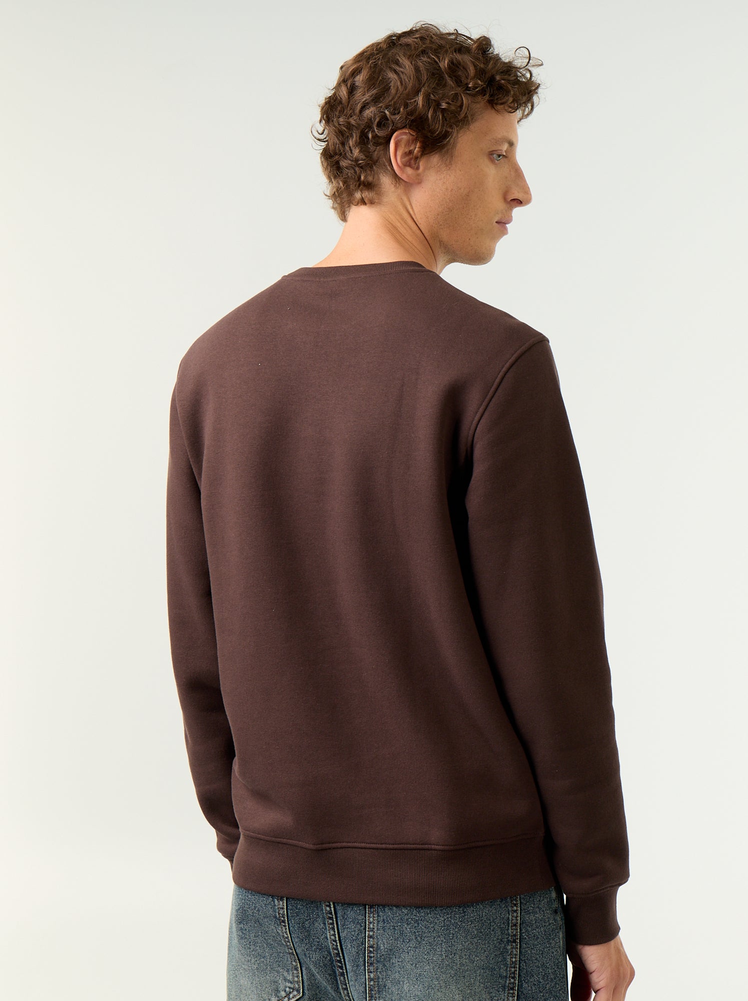 Sweat uni en molleton gratté - Marron (GAA04_5)