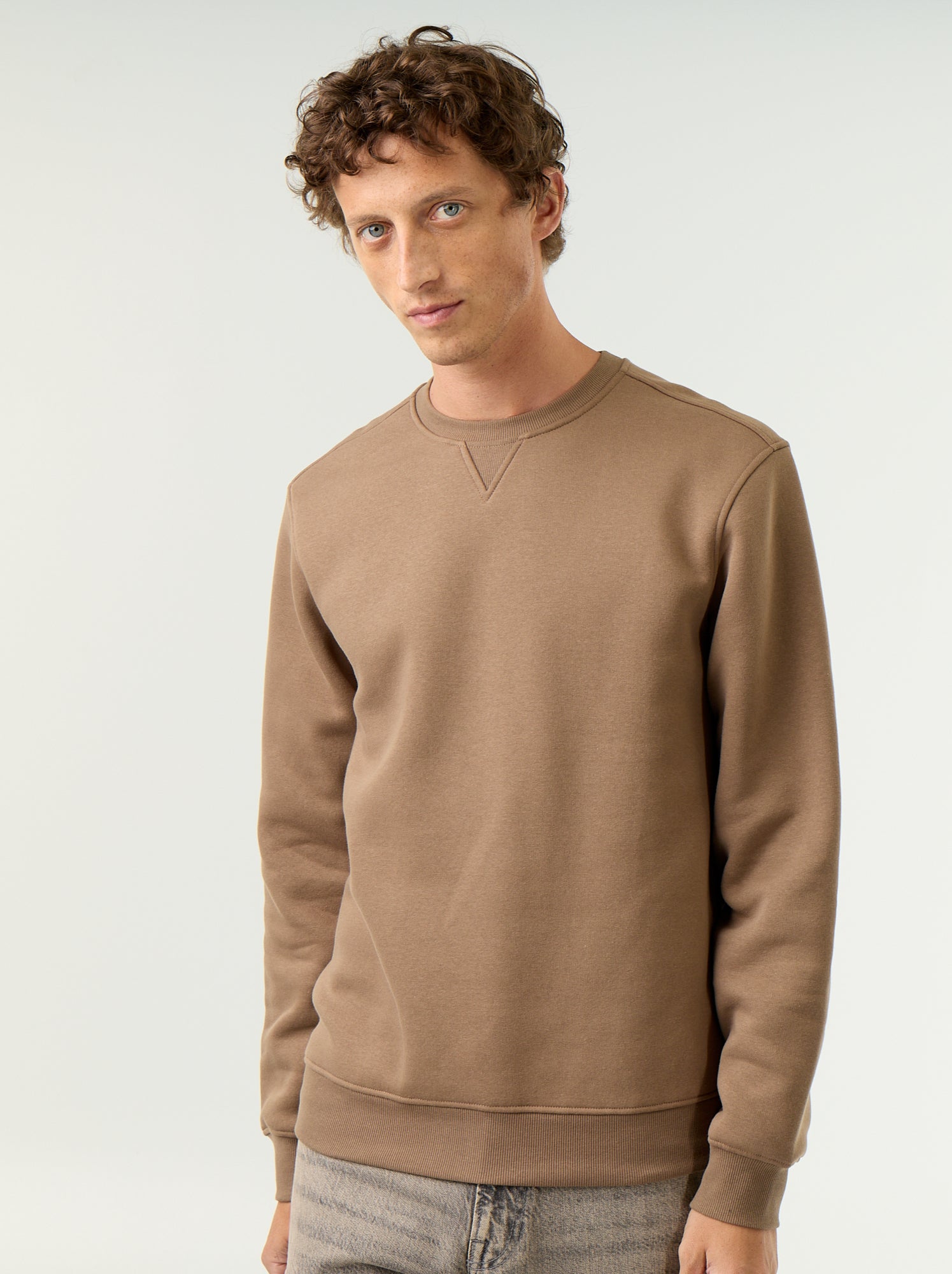 Sweat uni en molleton gratté - Marron (GAA04_8)