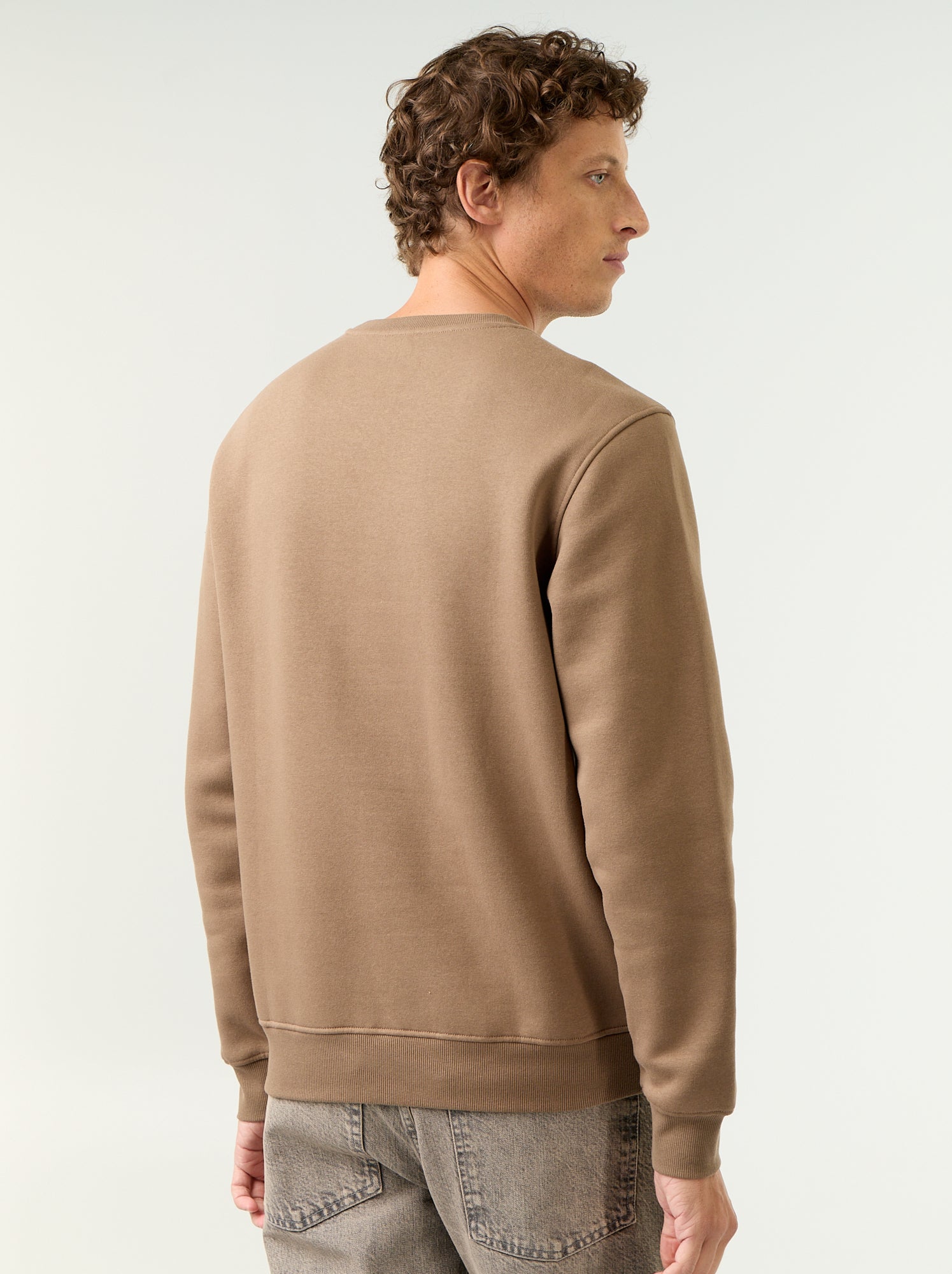 Sweat uni en molleton gratté - Marron (GAA04_8)