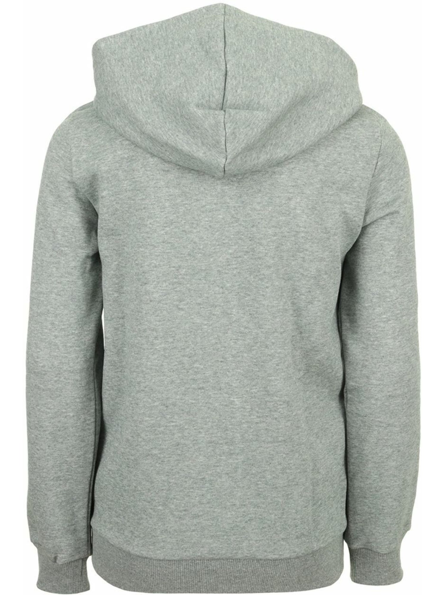 Sweat Zippé à Capuche Puma ESS Big Logo - Gris