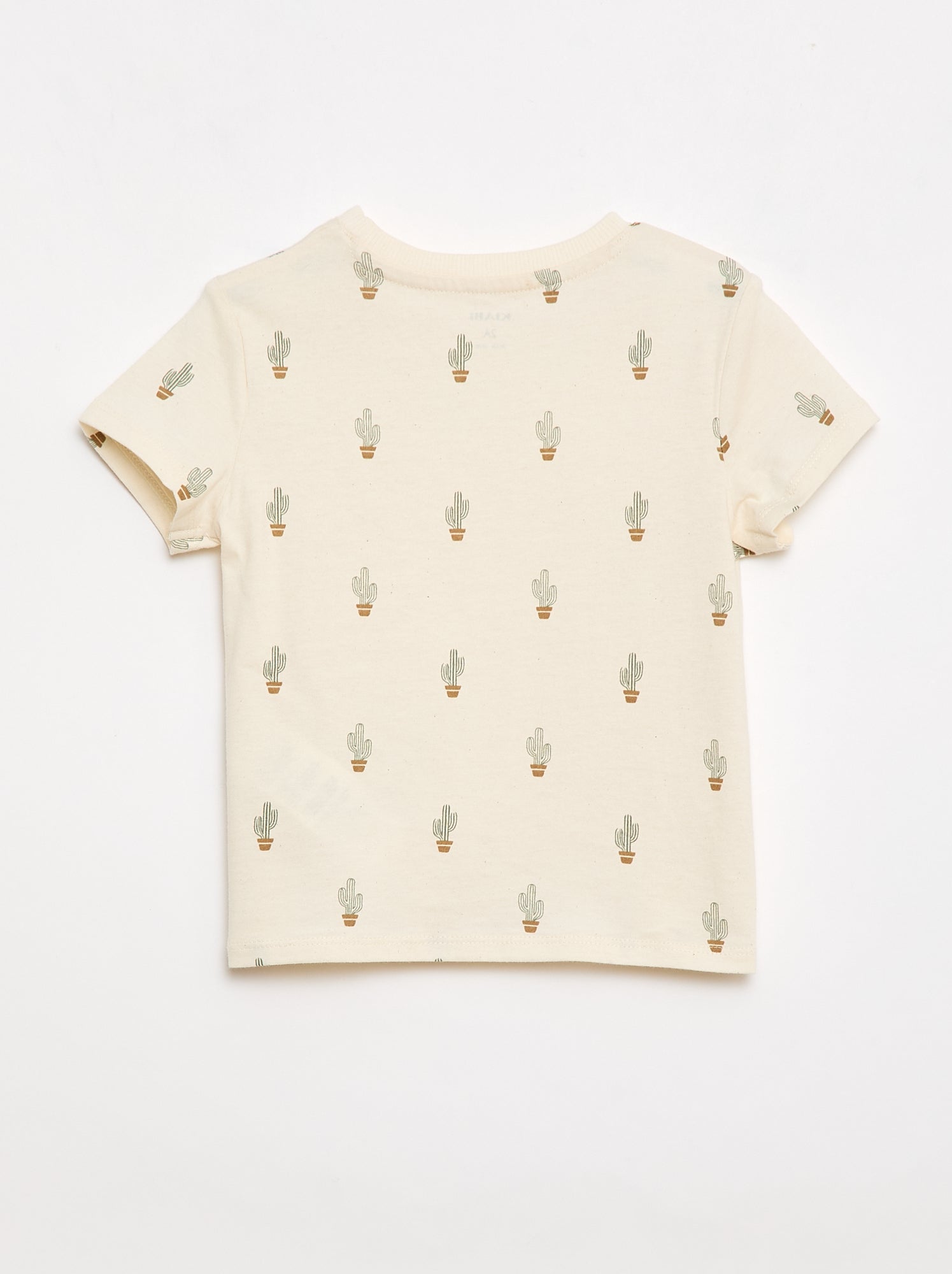 T-shirt uni en jersey coton - Blanc (FED43_1)