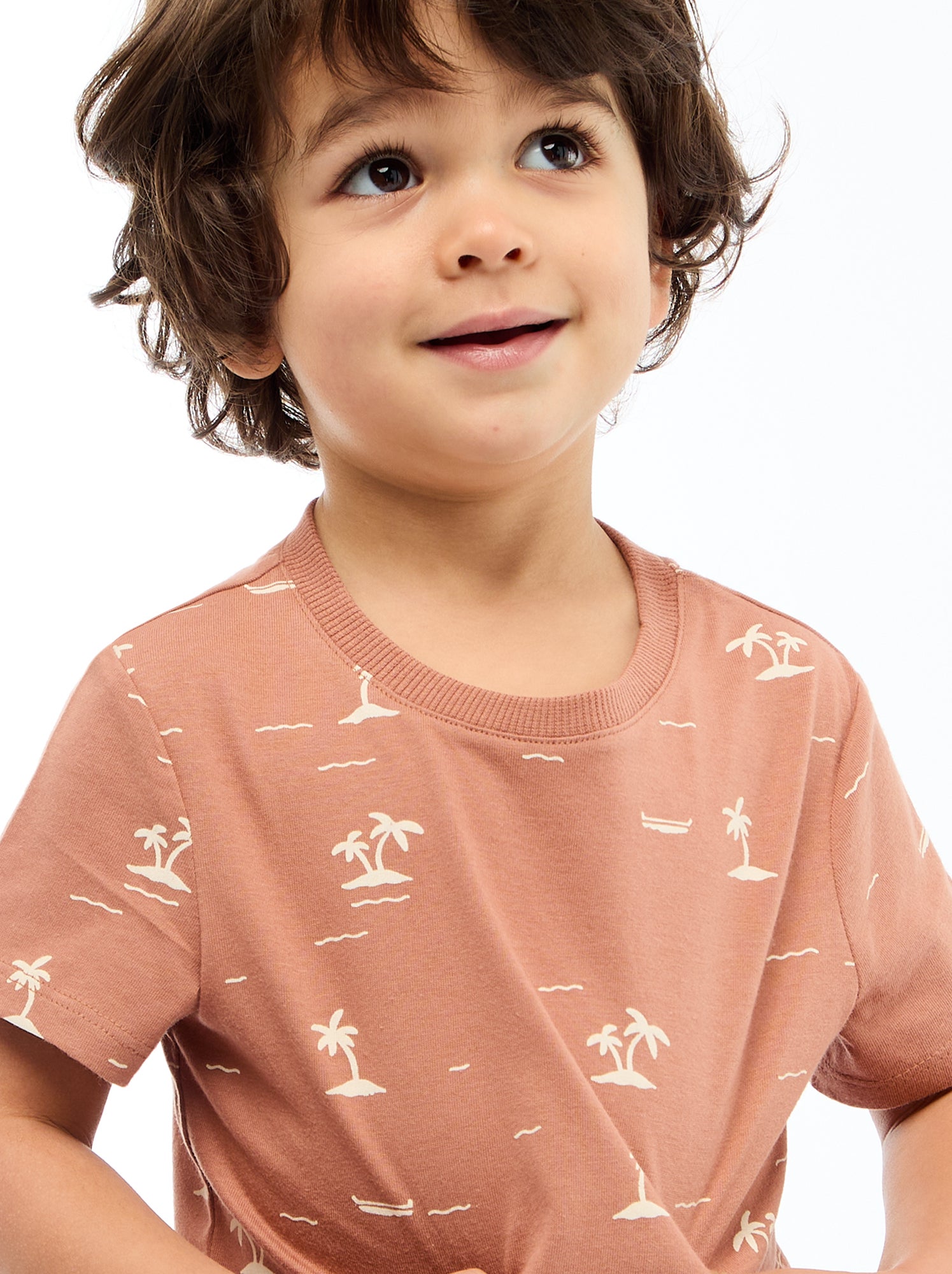 T-shirt uni en jersey coton - Marron