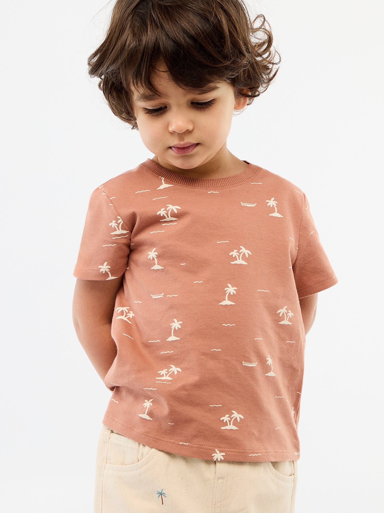 T-shirt uni en jersey coton - Marron