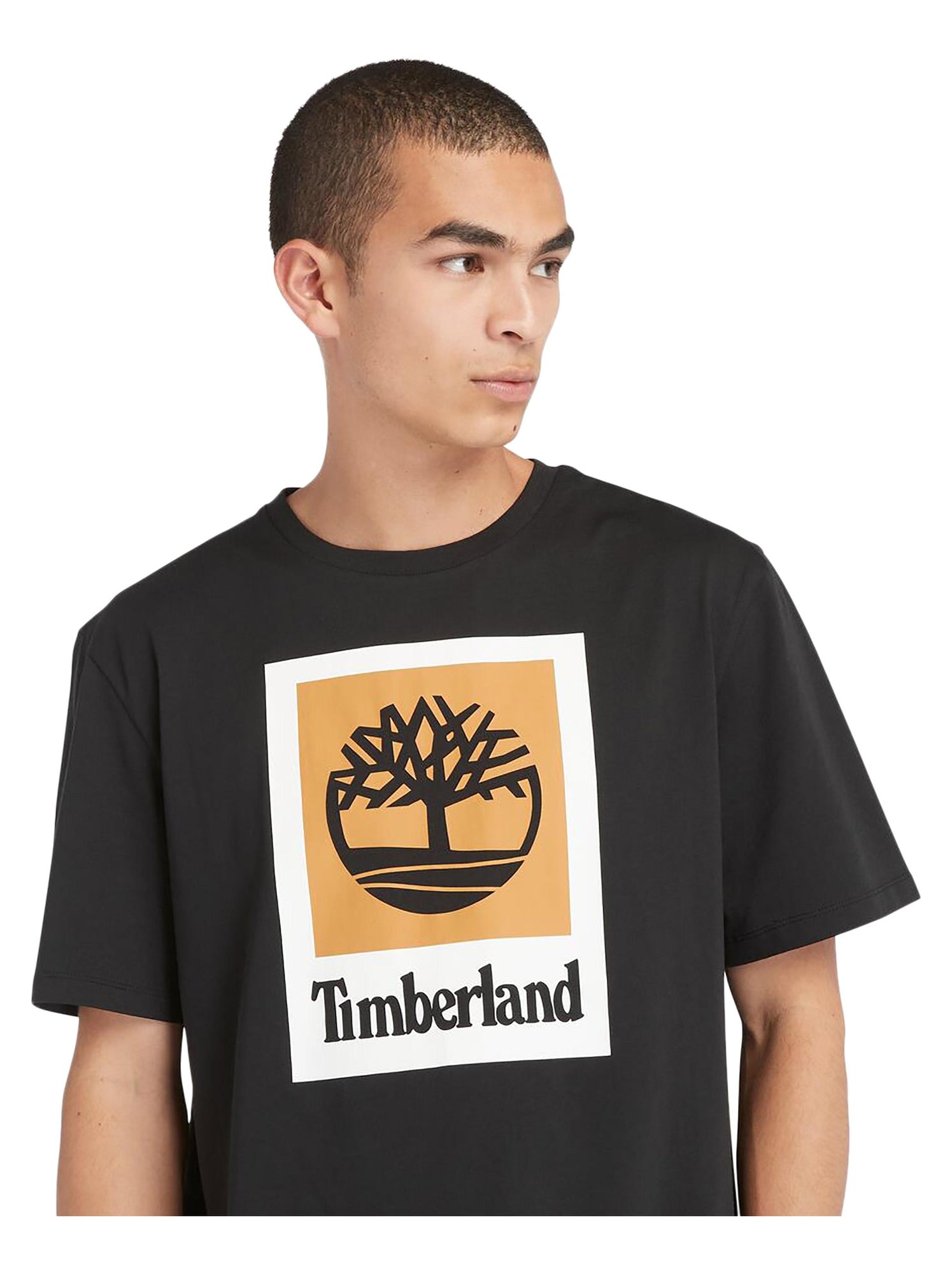 Tee Shirt Timberland Colored Short Sleeve - Noir