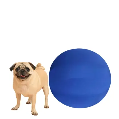 Interactive Herding Ball for Dogs – Inflatable Chase & Push Toy for Outdoor Play, Easy to Inflate, No Full Inflation Required