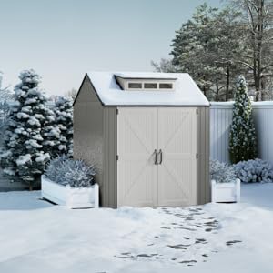 Shed with Snow