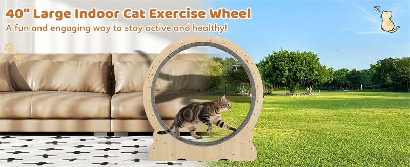 Eletriclife 40" Large Cat Exercise Wheel Low Noise Cat Running Treadmill for Indoor Cats