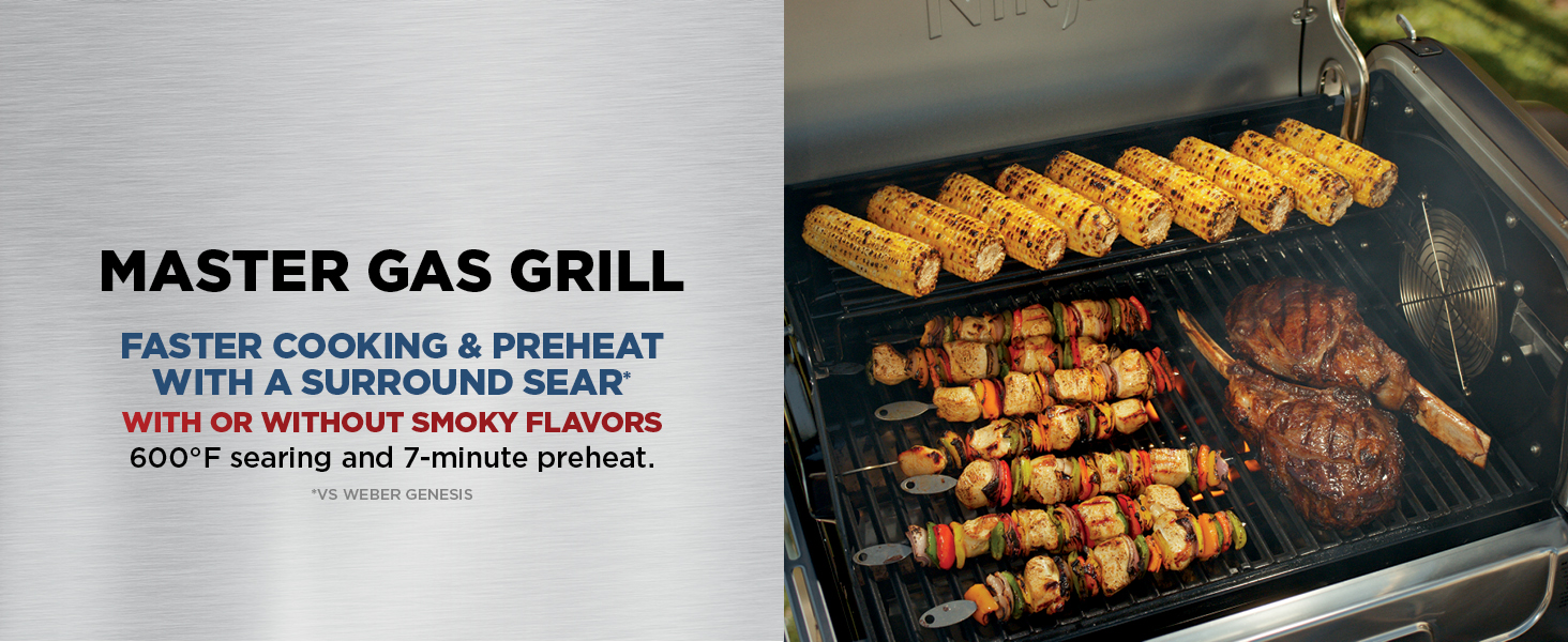 Master Gas Grill
