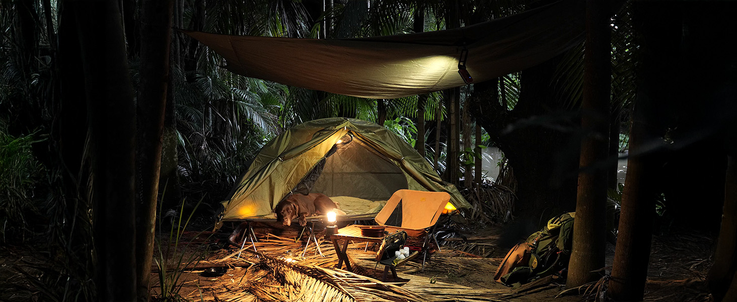 cot tent