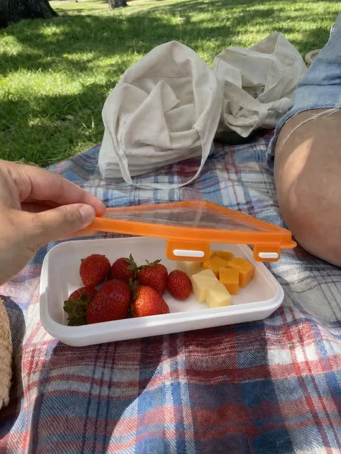 Orange tray with fruit at a park picnic